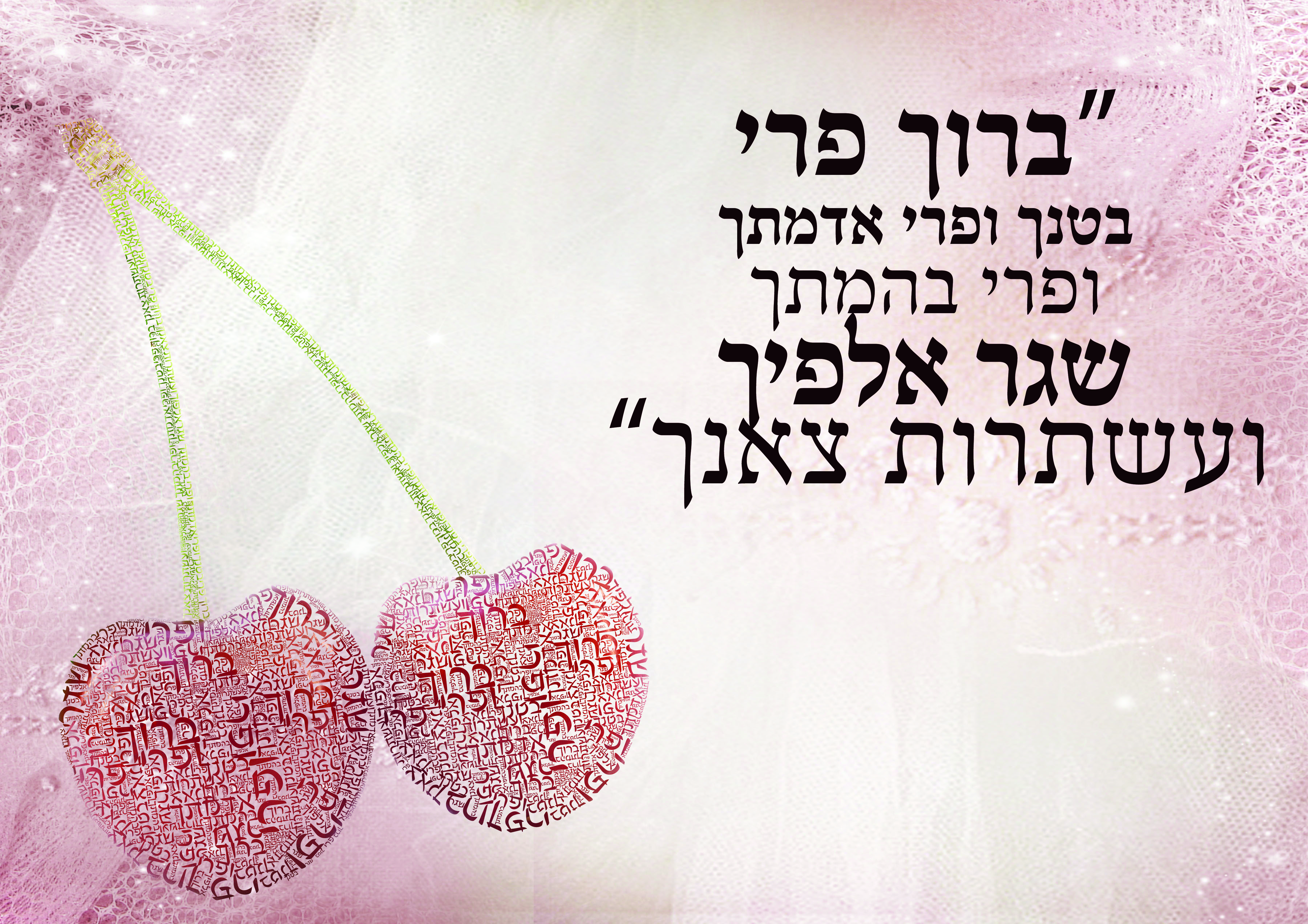 מרקם  שמיטה 01