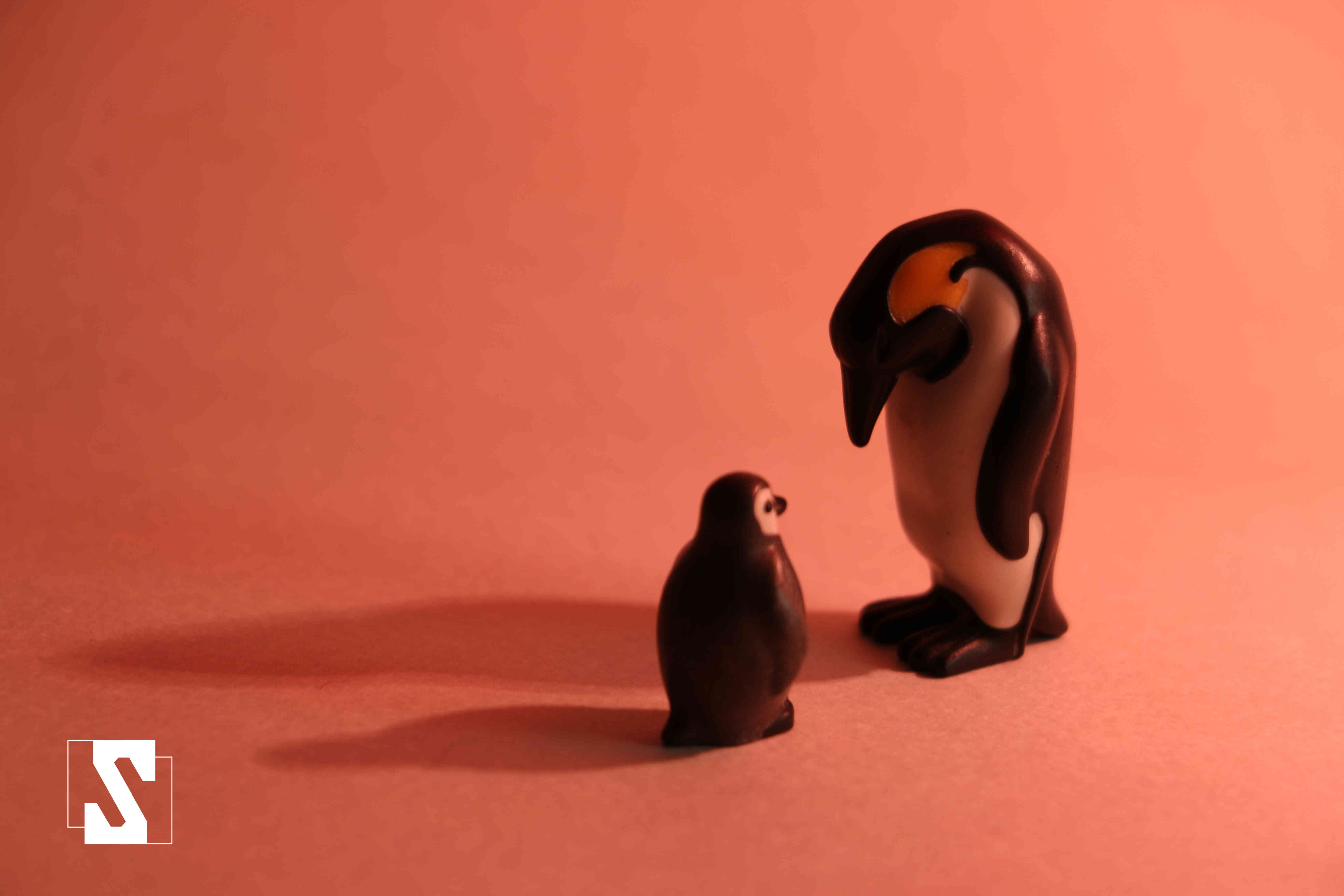 משחקי תאורה (5).jpg