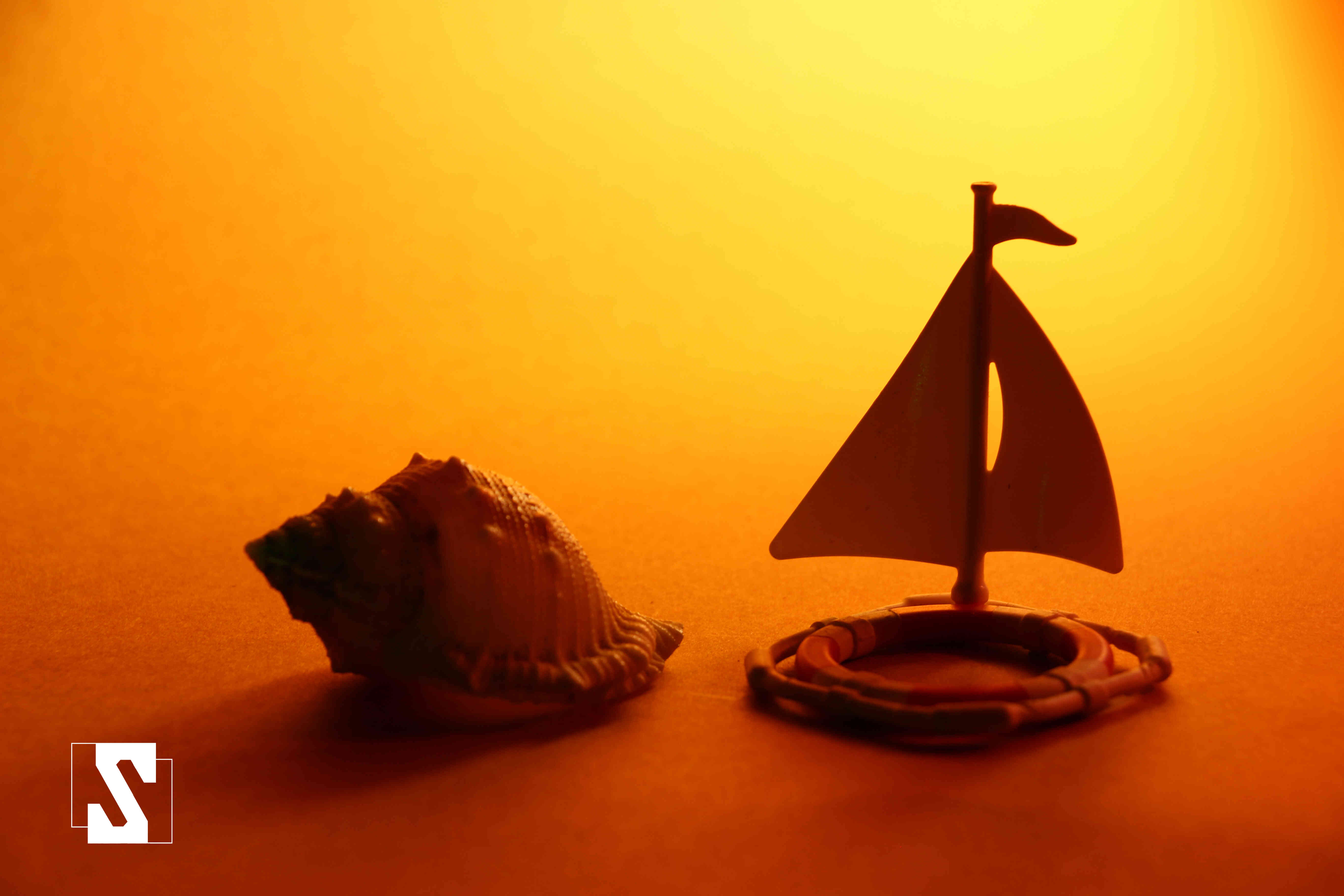 משחקי תאורה (6).jpg