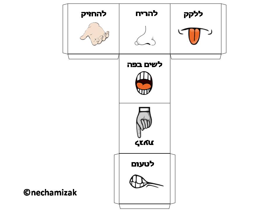 משחק לעידוד חשיפה למאכלים