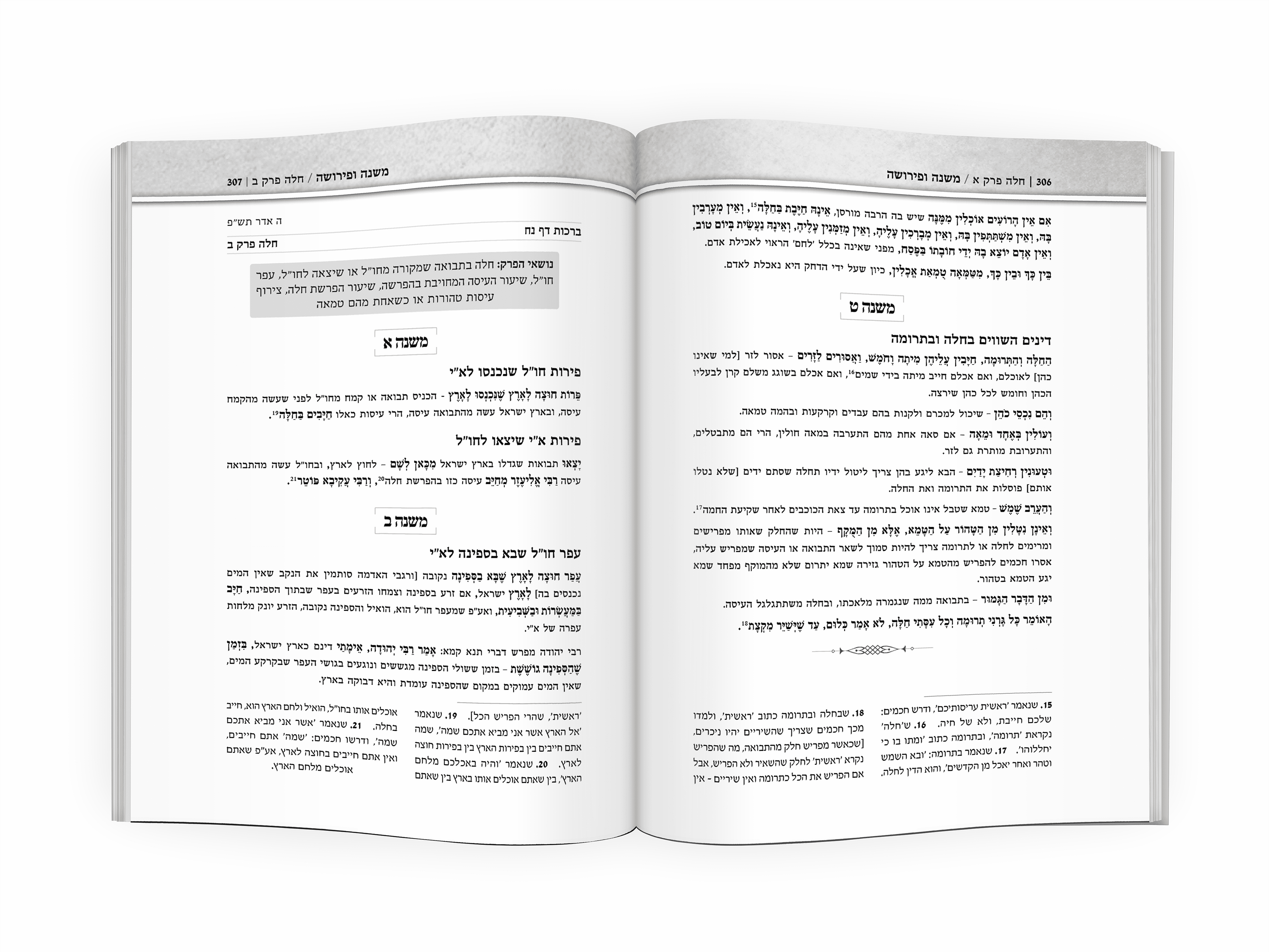 משנה ופירושה.png