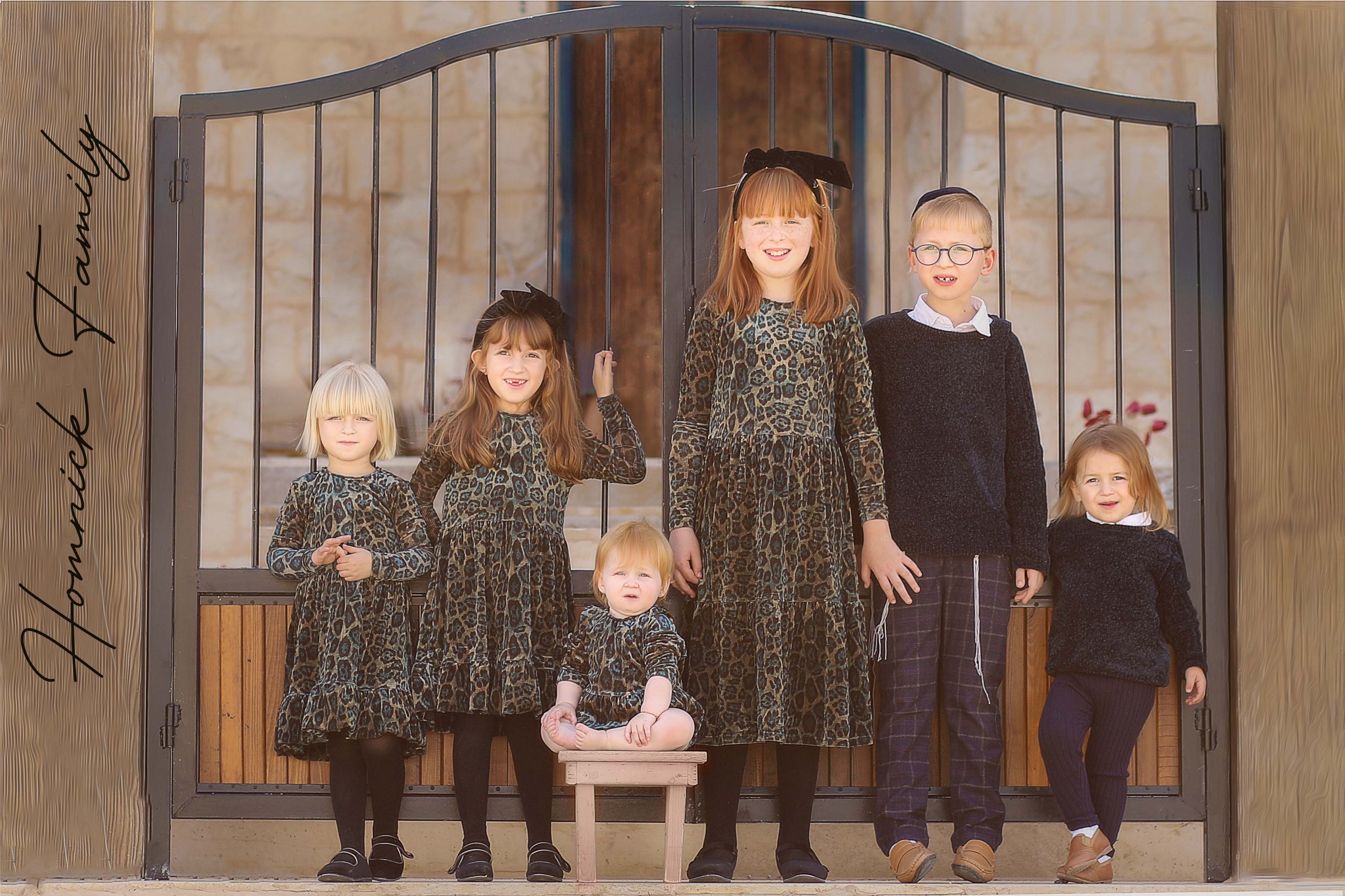 משפחתהמניק copy.jpg