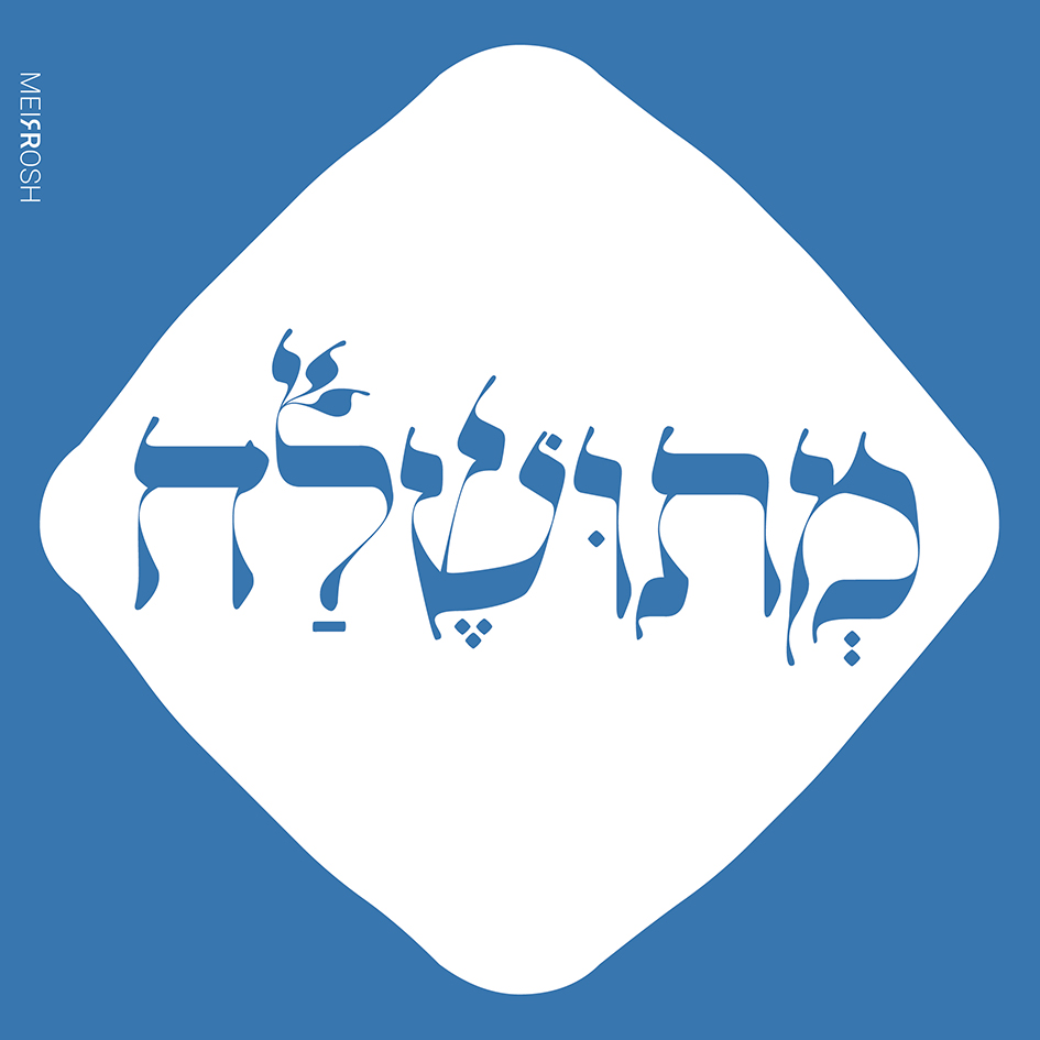 מתושלח MeirRoshDESIGN