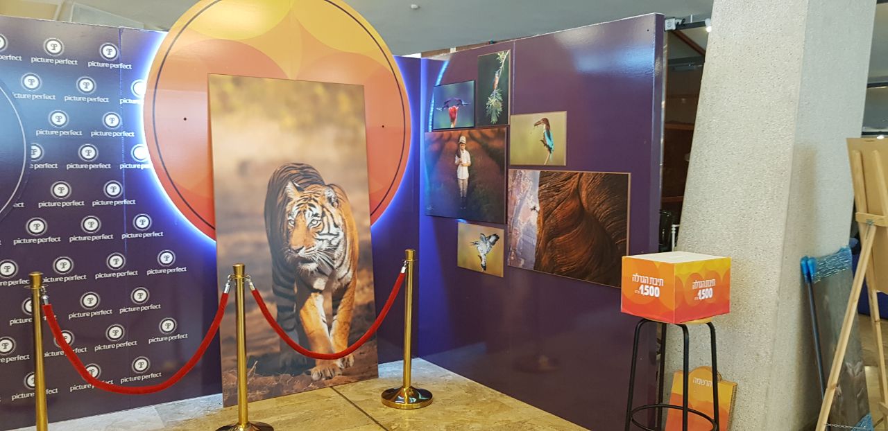 נבחרת צלמים