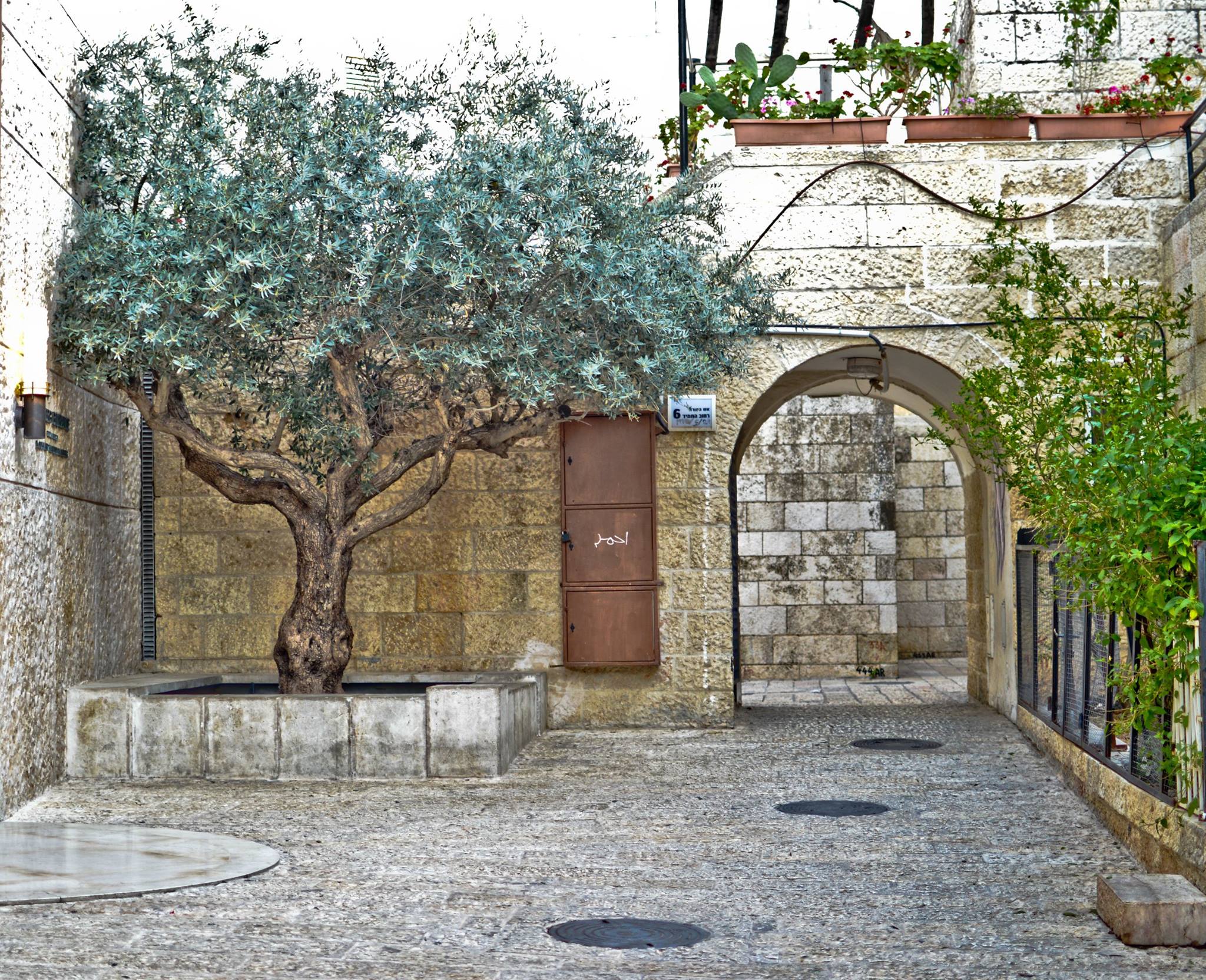 נוף ירושלמי - סטודיו שלוש