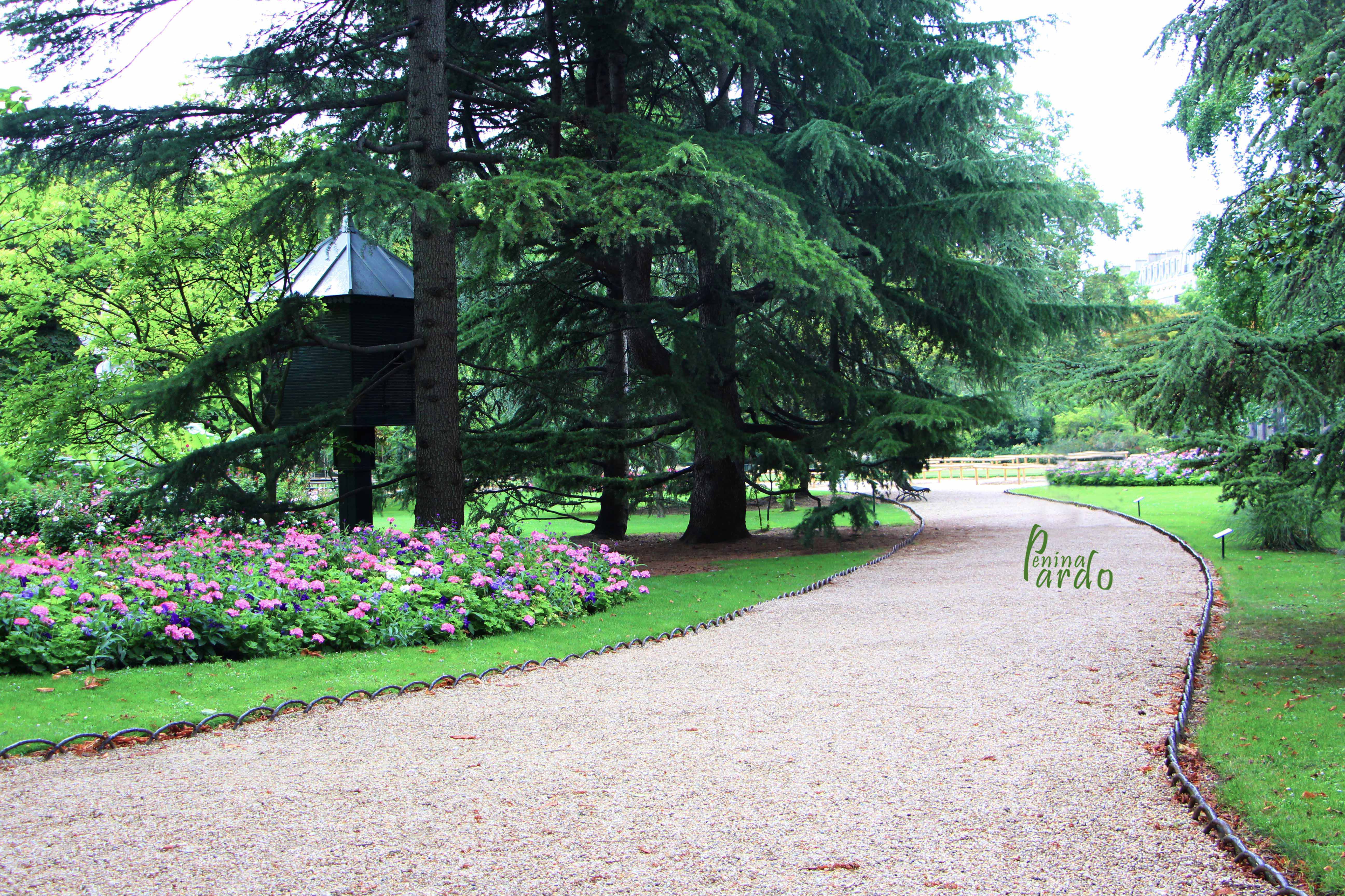 נופים_פלנטה 0583218160 (1).jpg