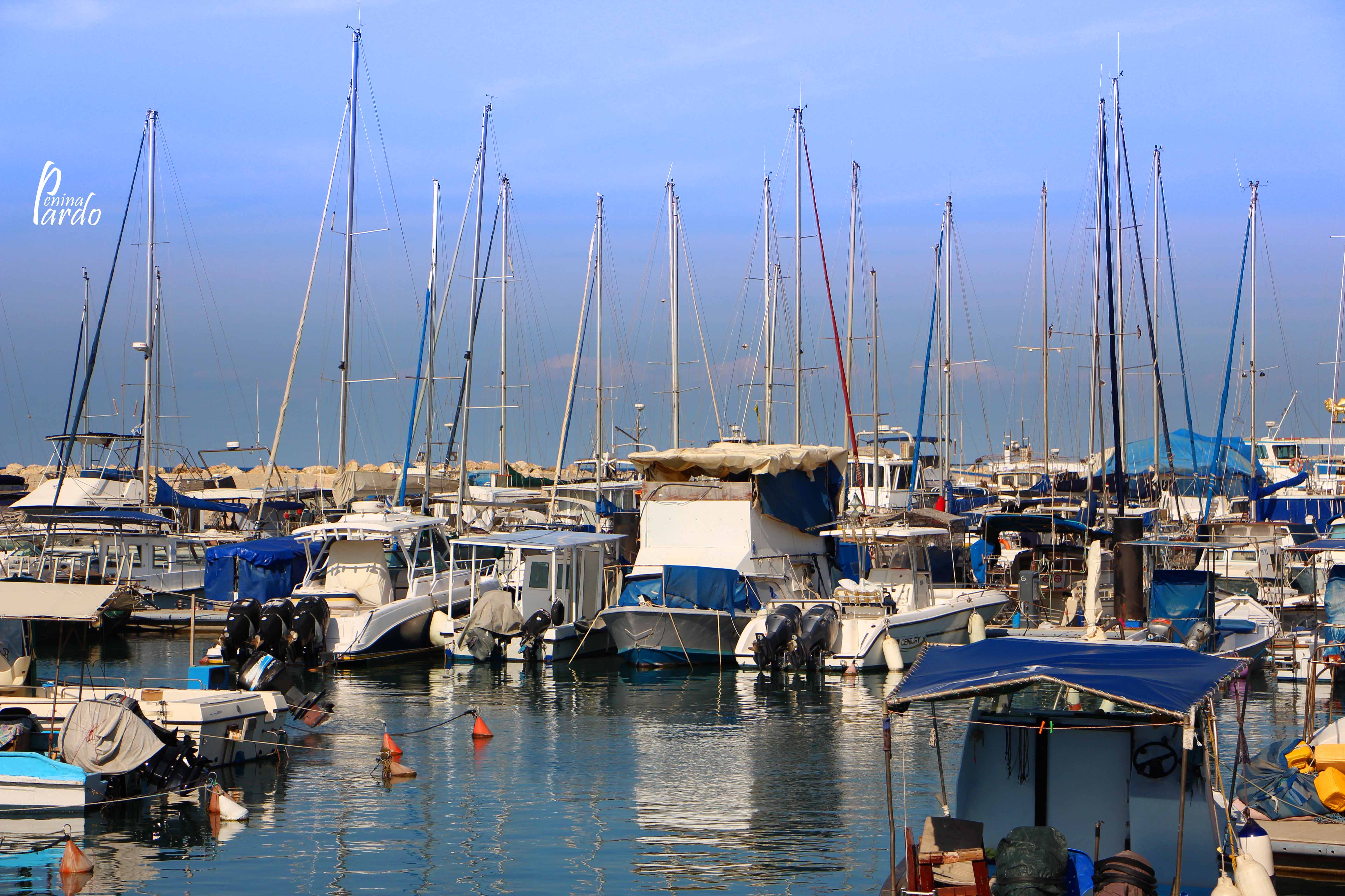 נופים_פלנטה 0583218160 (12).JPG