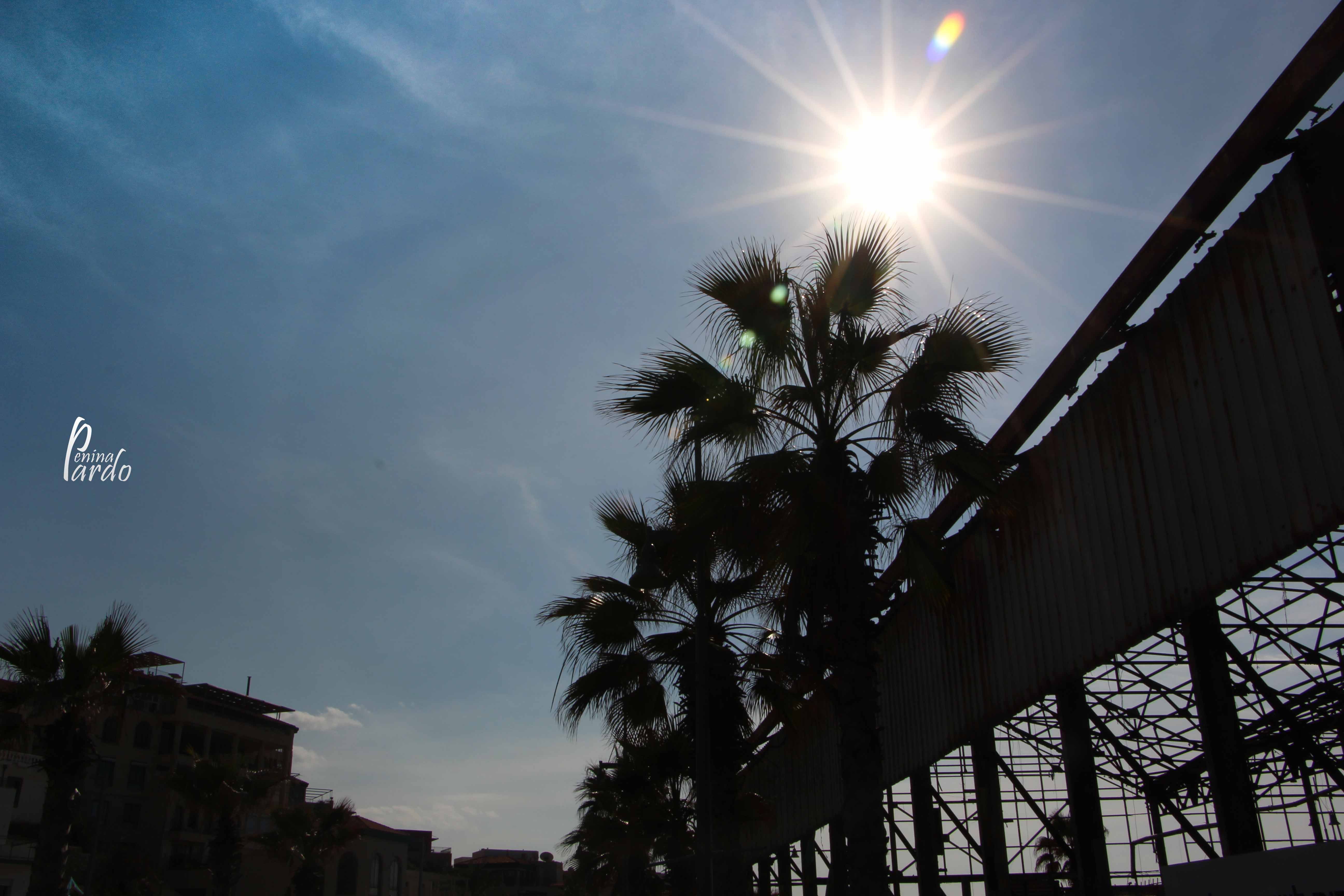 נופים_פלנטה 0583218160 (13).JPG