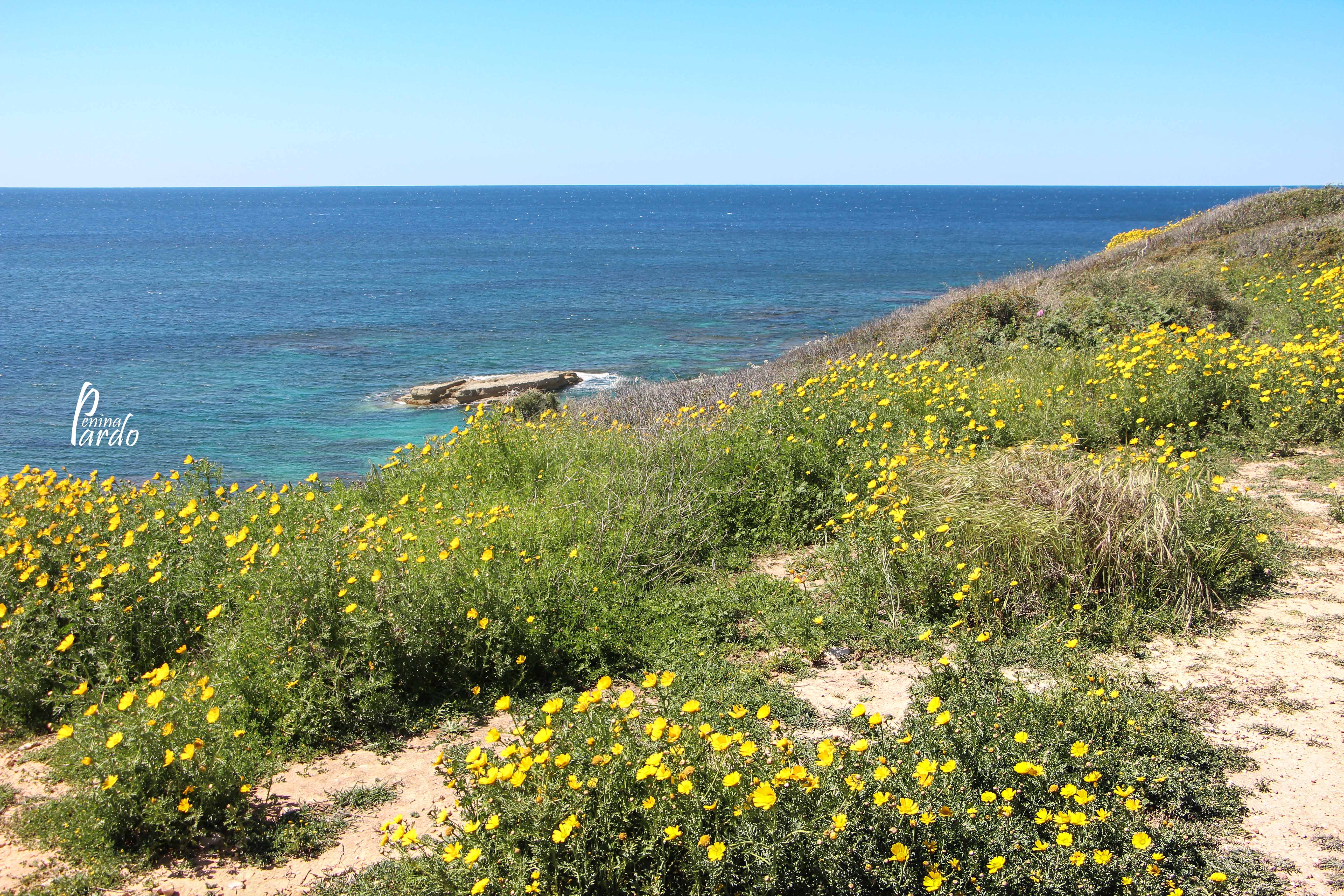 נופים_פלנטה 0583218160 (5).JPG