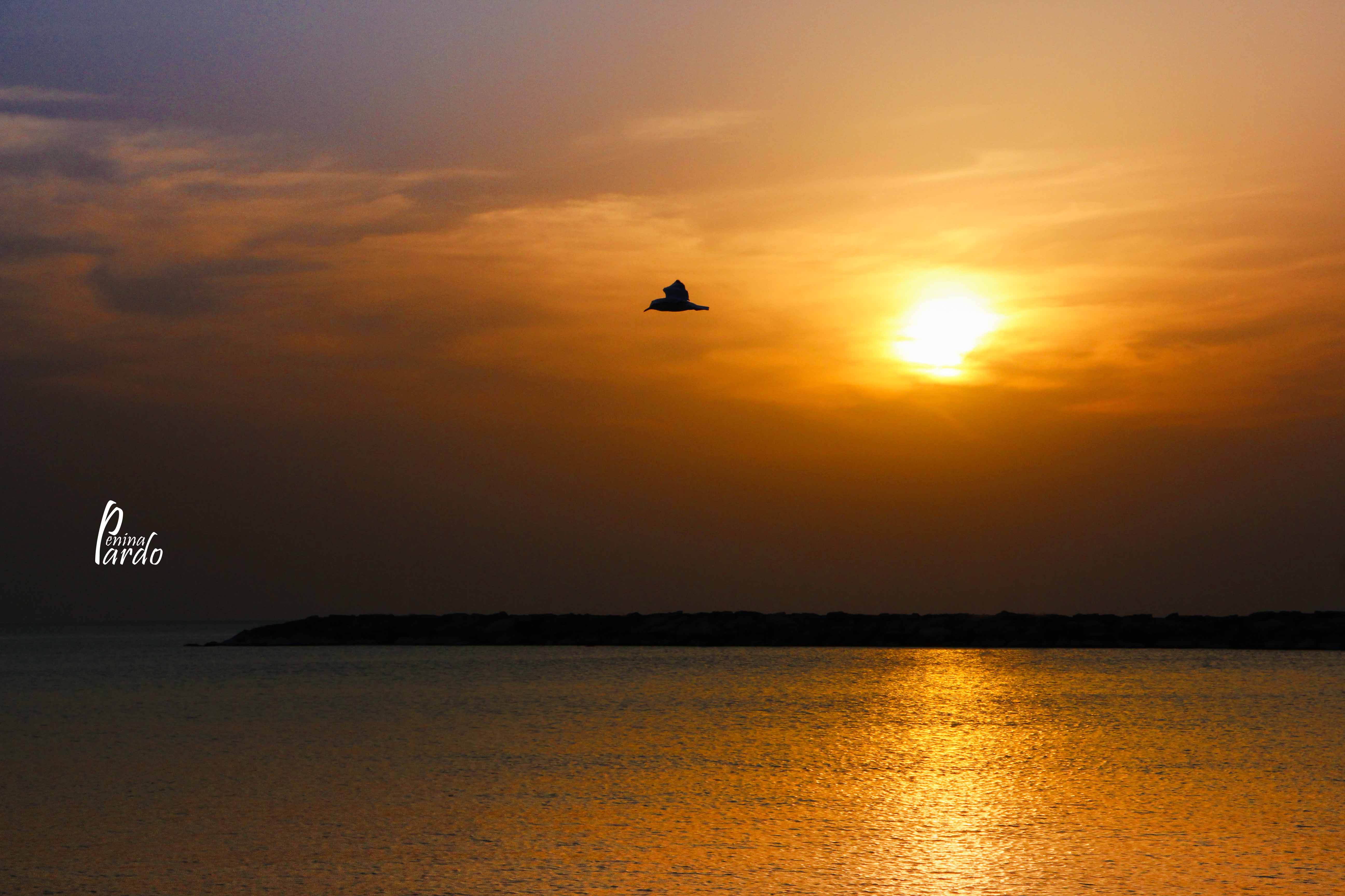 נופים_פלנטה 0583218160 (8).JPG