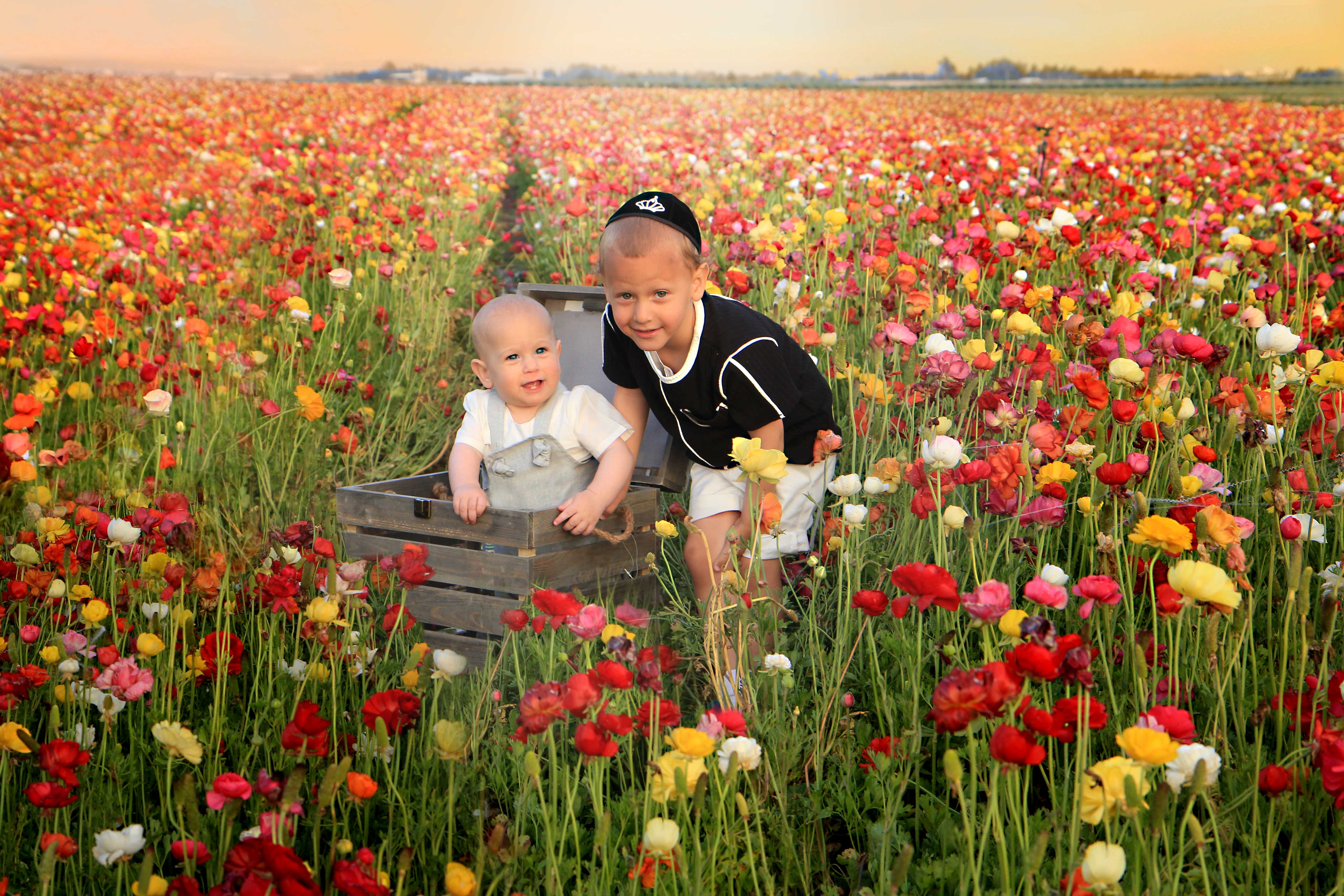 נוריות תשע''ט