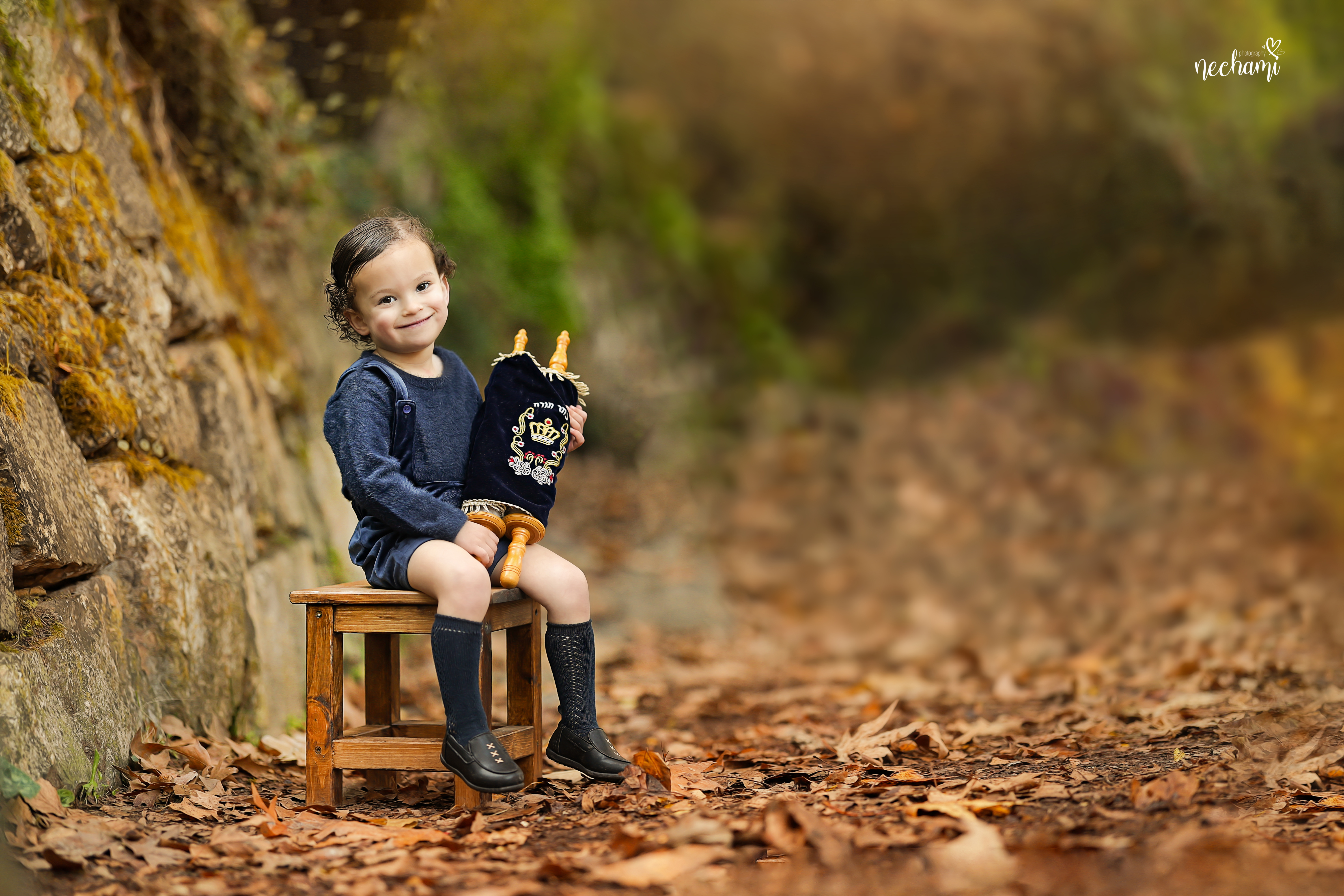 נחמי למברגר 0548525361 (3) (1).jpg