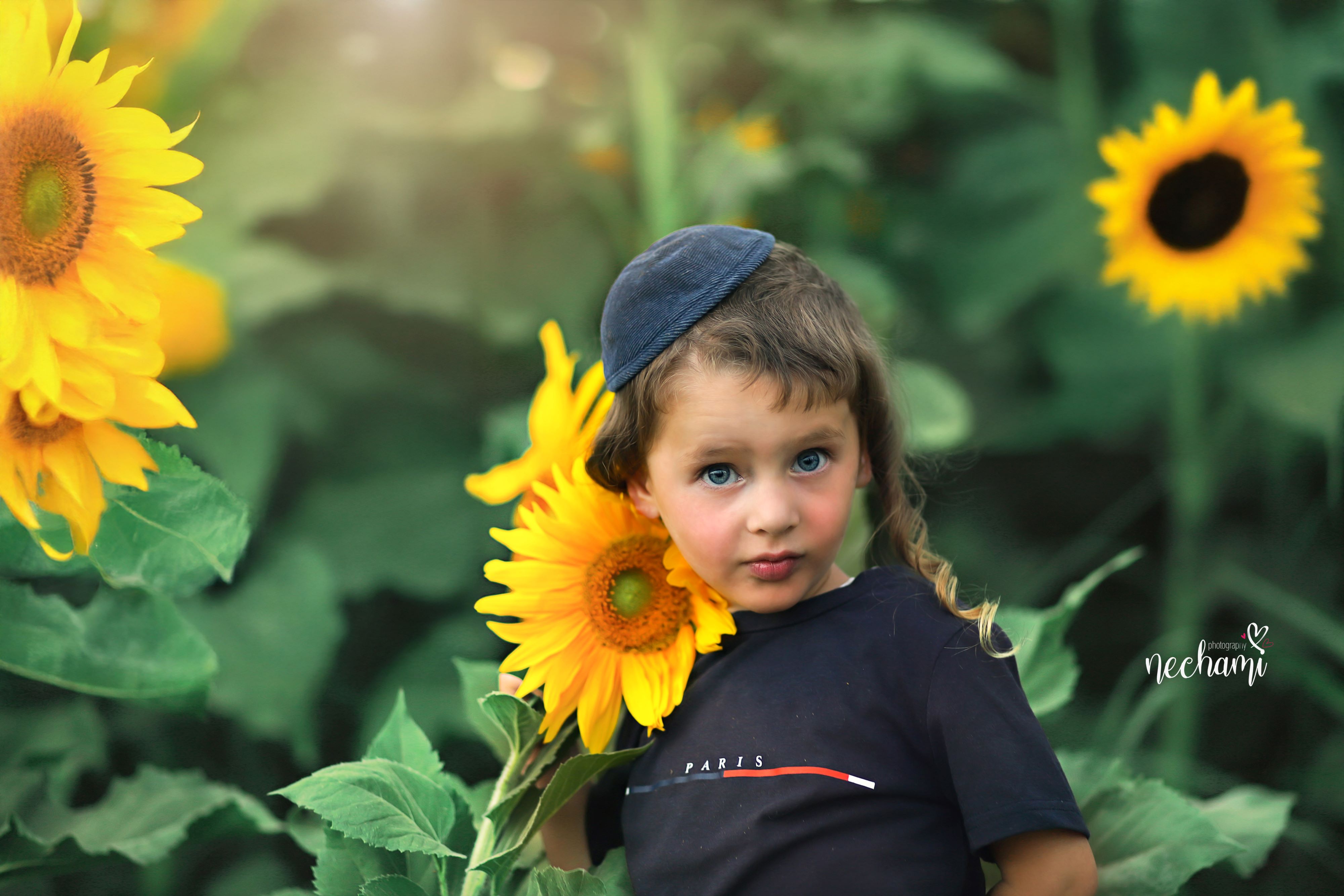 נחמי למברגר    0548525361.