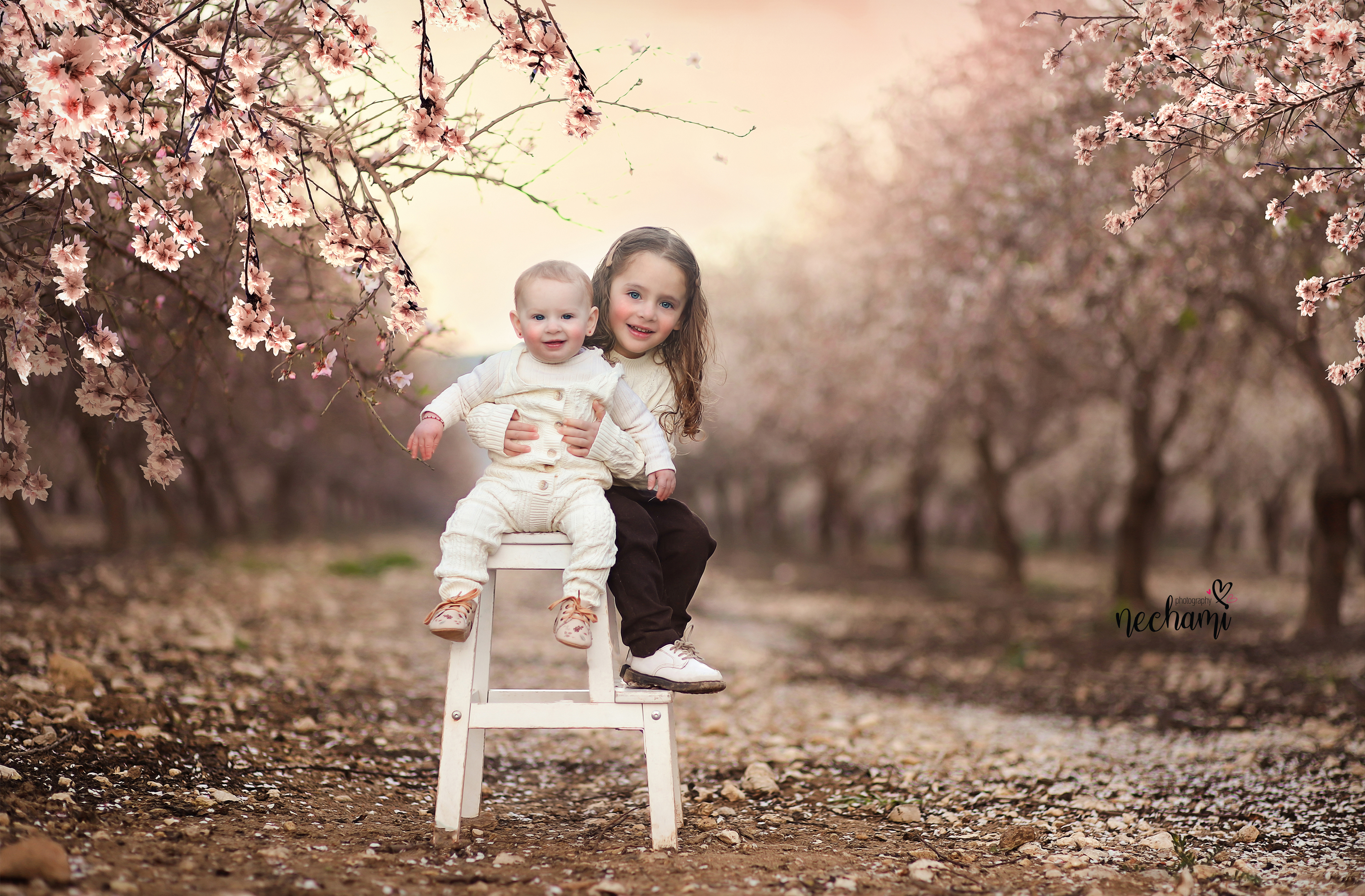 נחמי למברגר