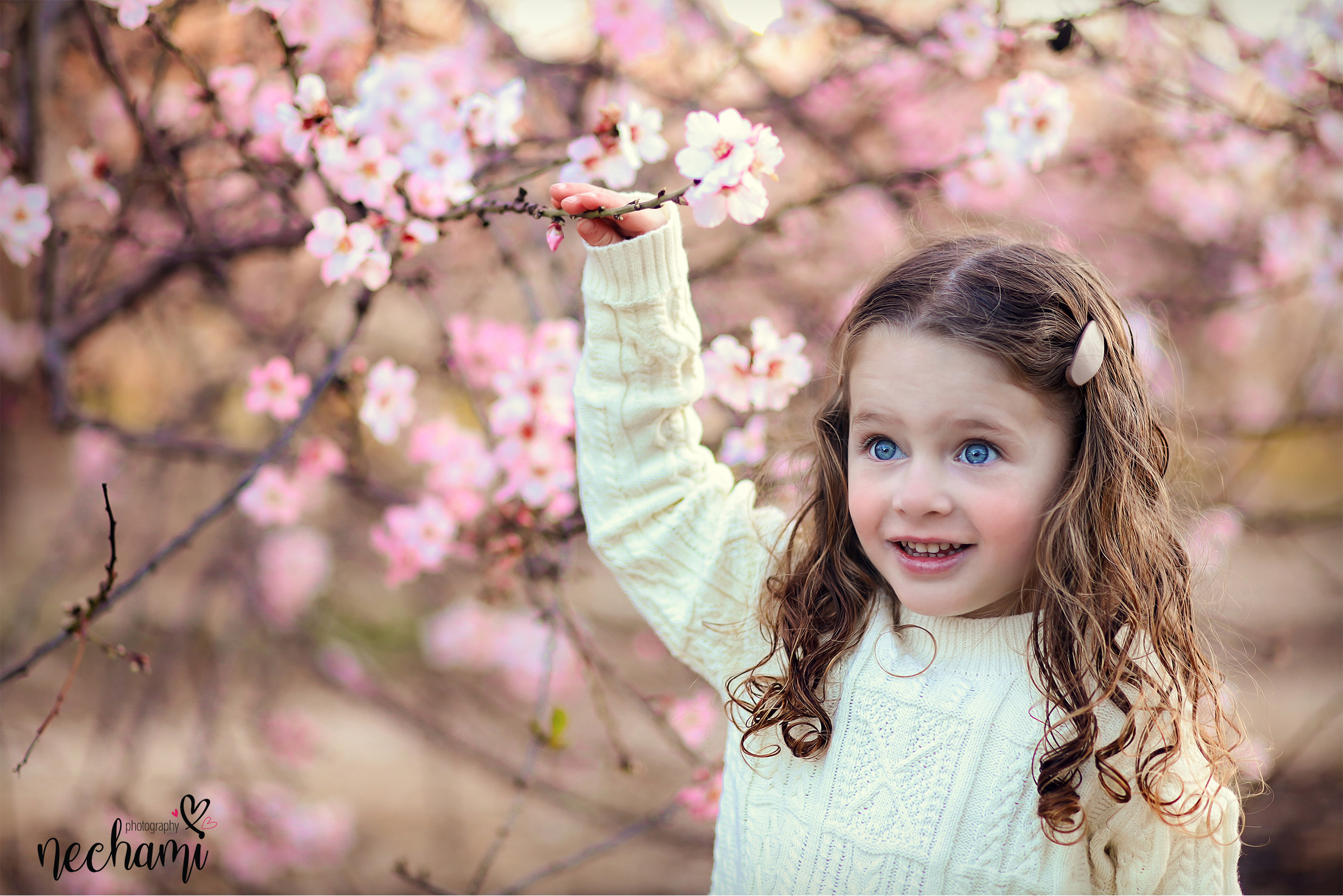 נחמי למברגר