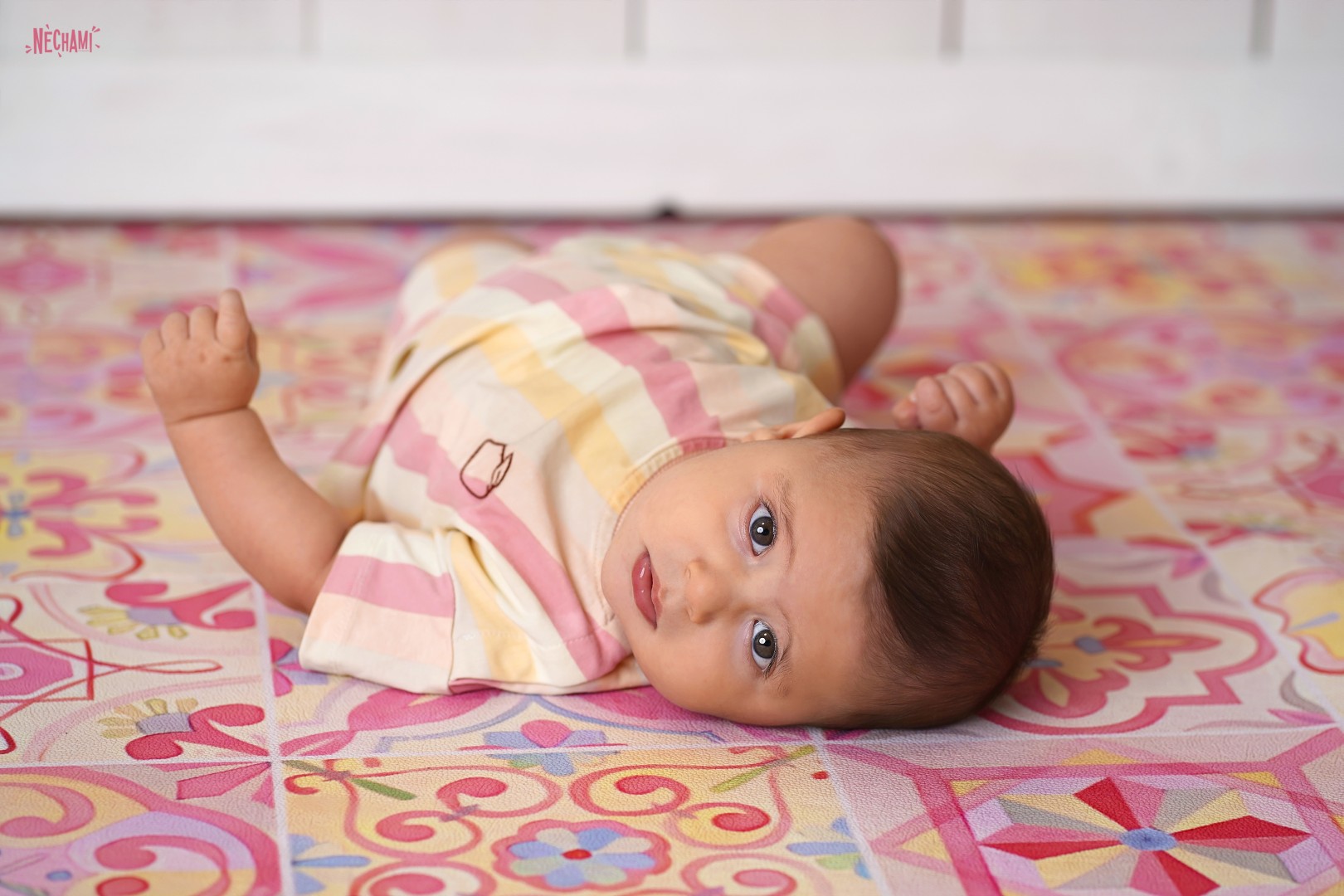 נחמי פרקש צילום 0556733034 (1).jpg