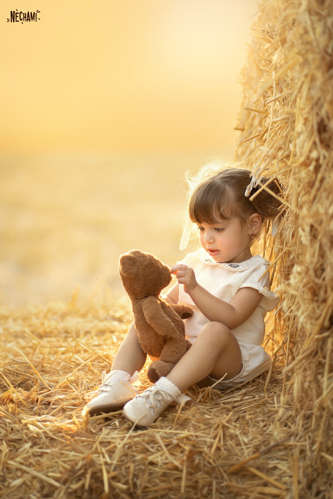 נחמי פרקש צילום 0556733034 (6).jpg