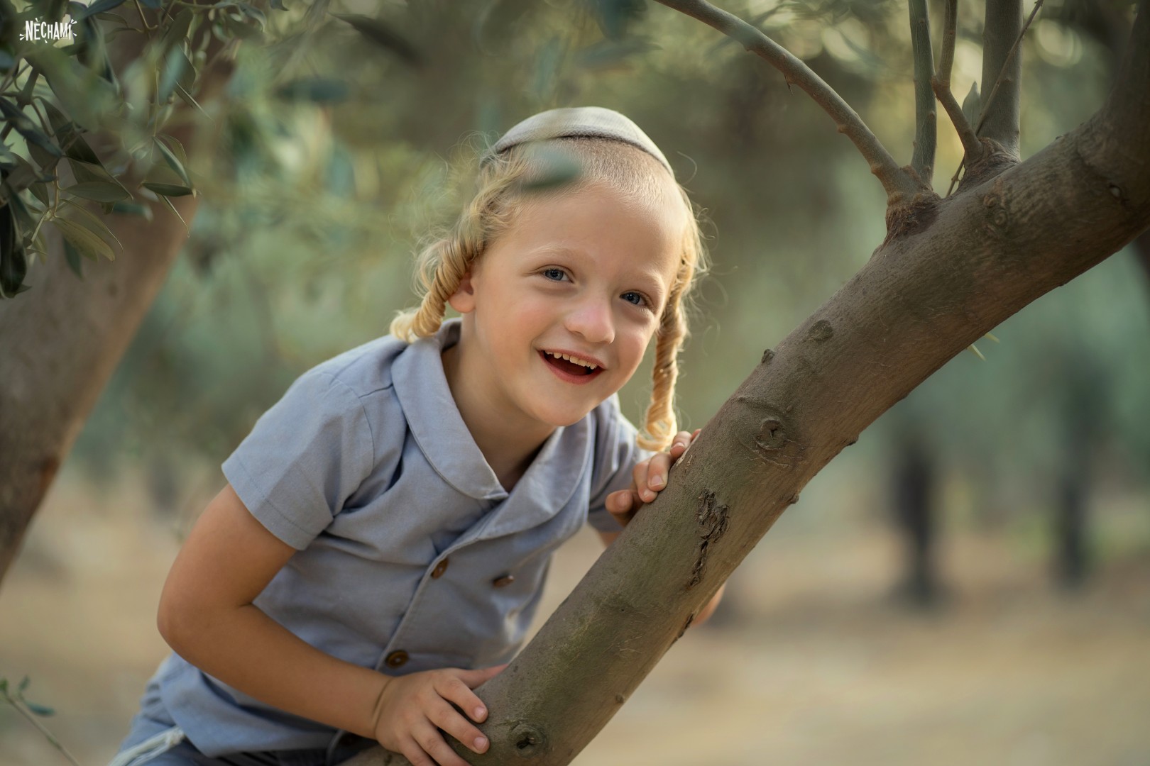 נחמי פרקש צילום0556733034 (3).jpg