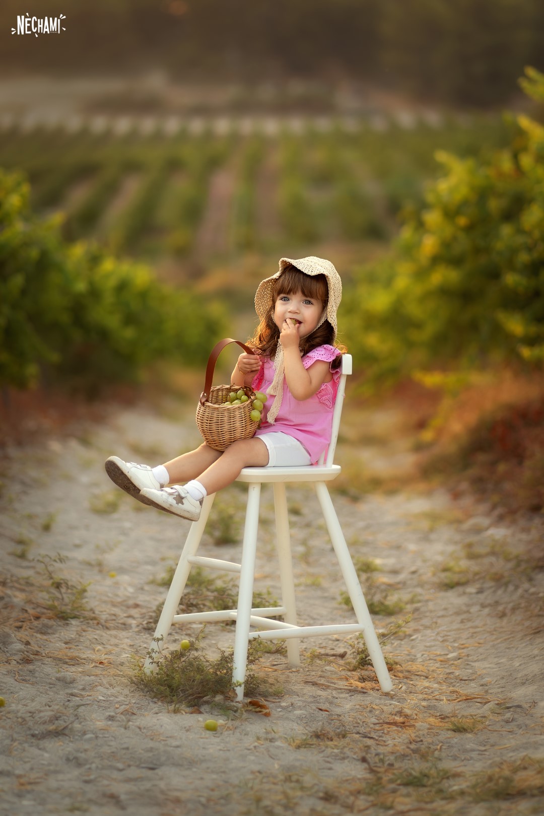 נחמי פרקש 0556733034 (1).jpg