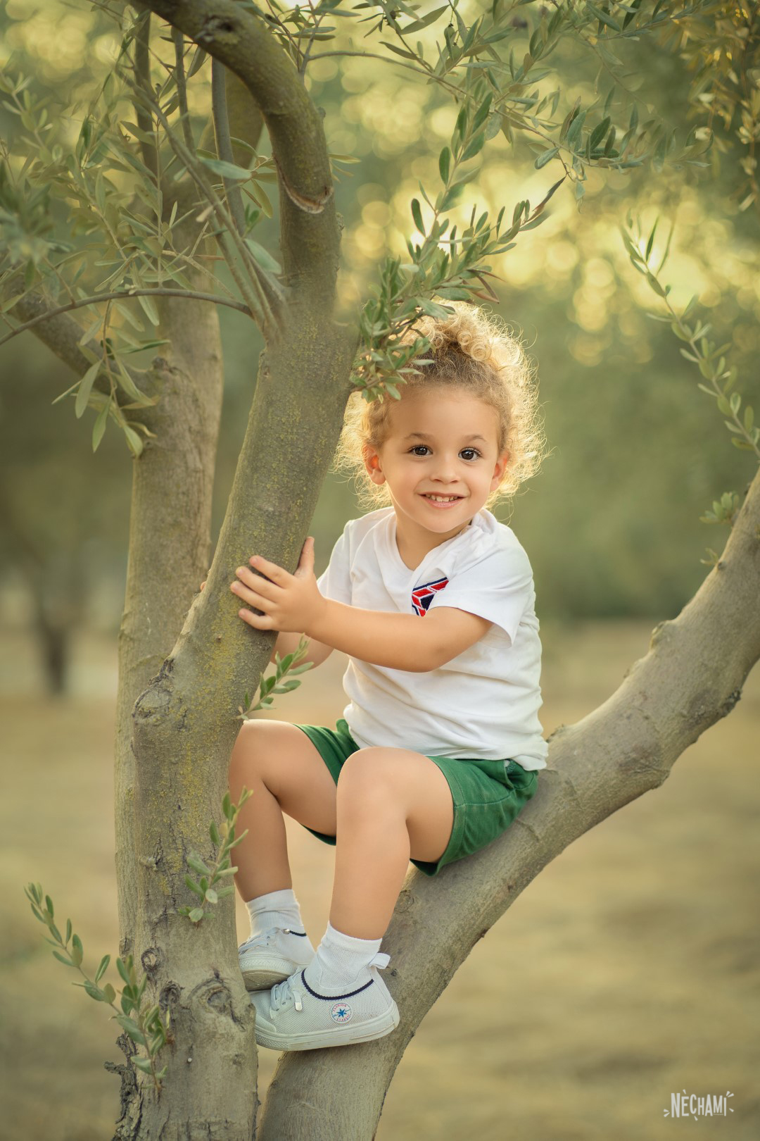 נחמי פרקש 0556733034 (10) (Large).jpg