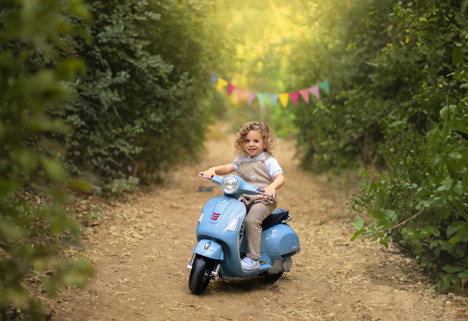 נחמי פרקש 0556733034 (4) (Large).jpg