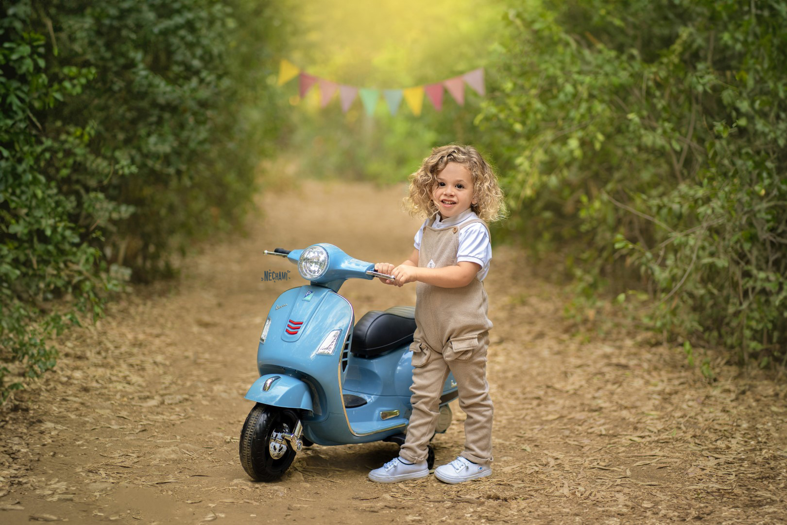 נחמי פרקש 0556733034 (5) (Large).jpg