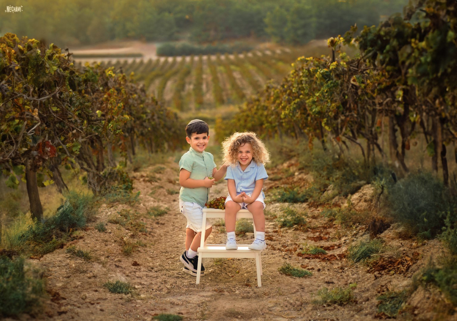 נחמי פרקש 0556733034 (9) (Large).jpg