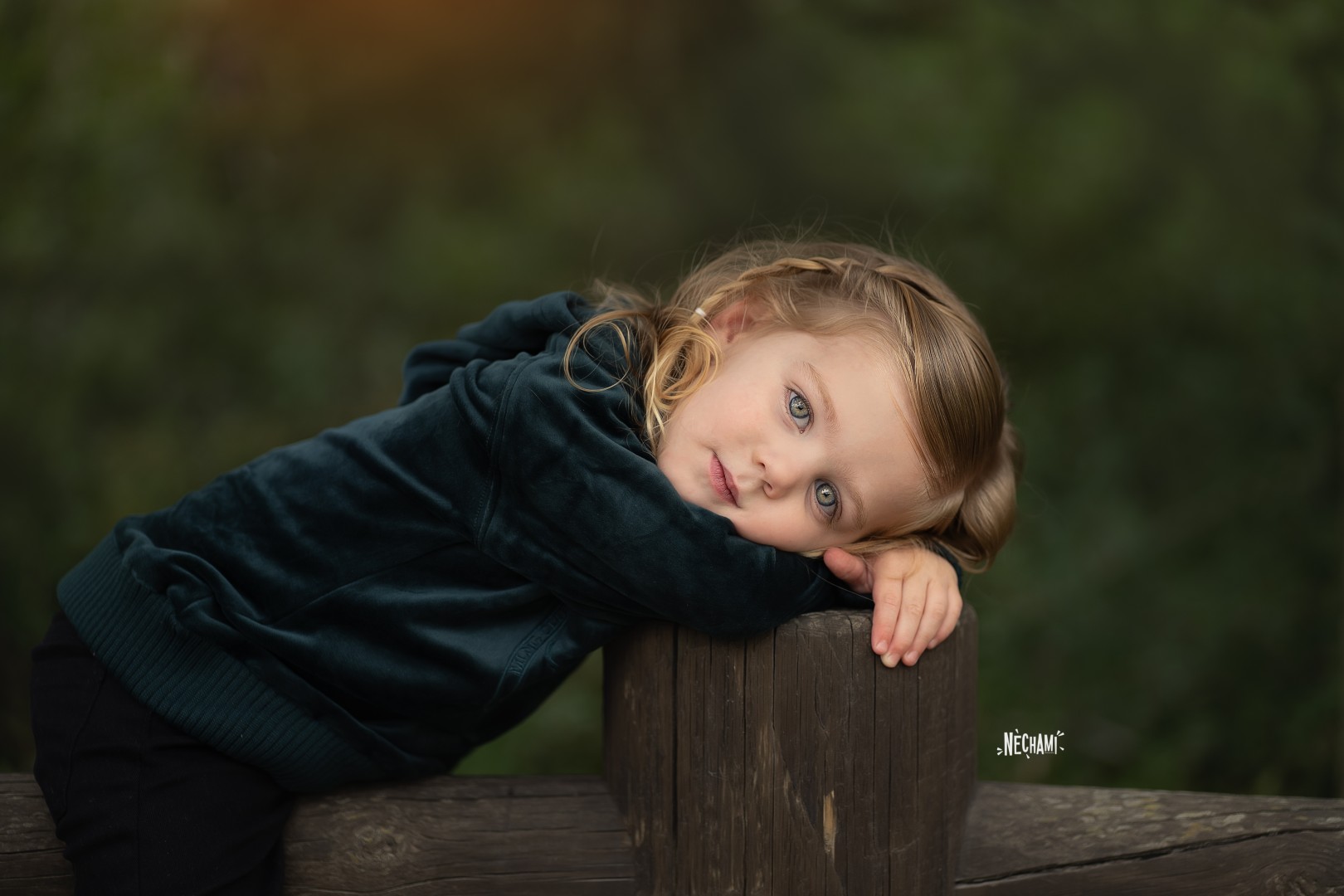 נחמי פרקש0556733034 (2).jpg