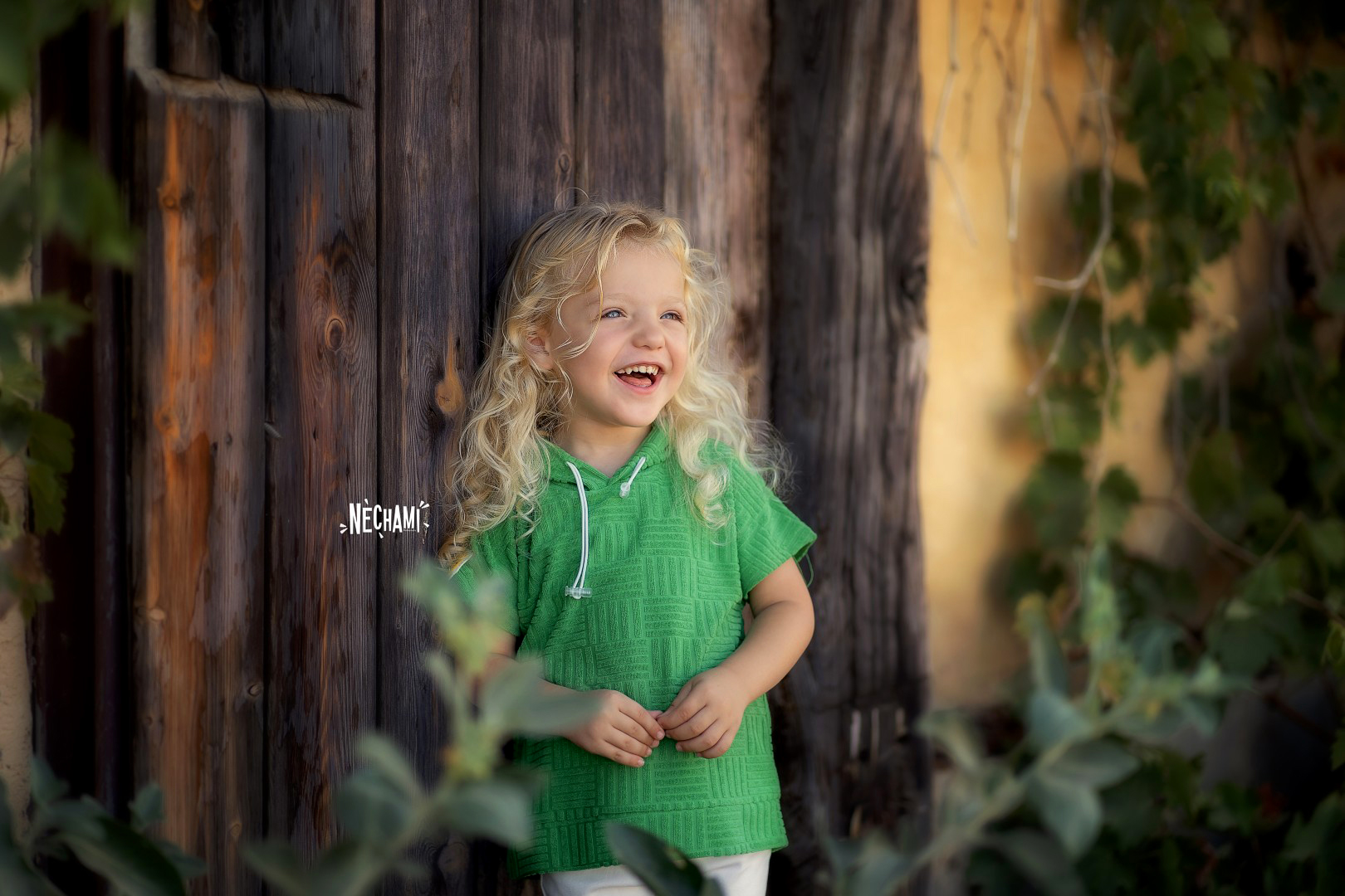 נחמי צילום 0556733034 (3).jpg