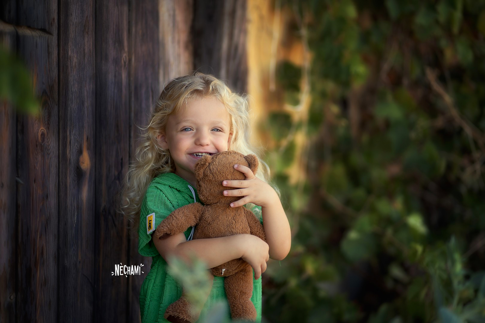 נחמי צילום 0556733034 (4).jpg