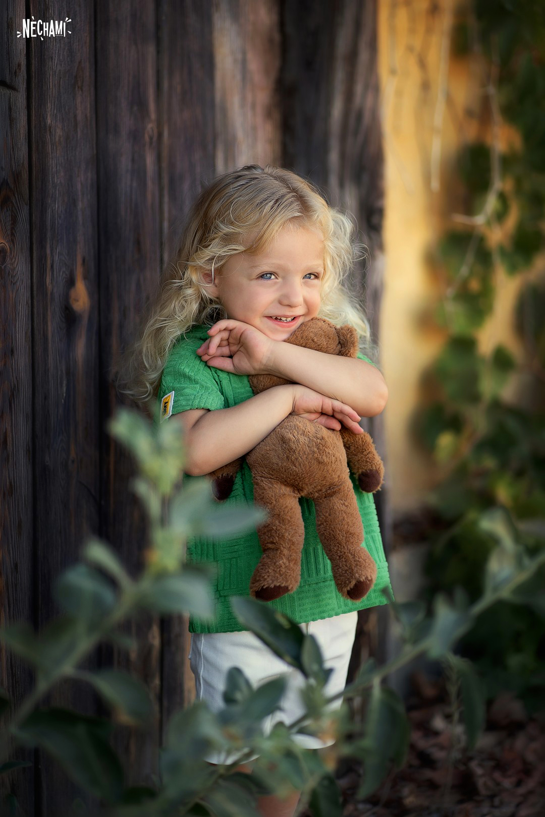 נחמי צילום 0556733034 (5).jpg