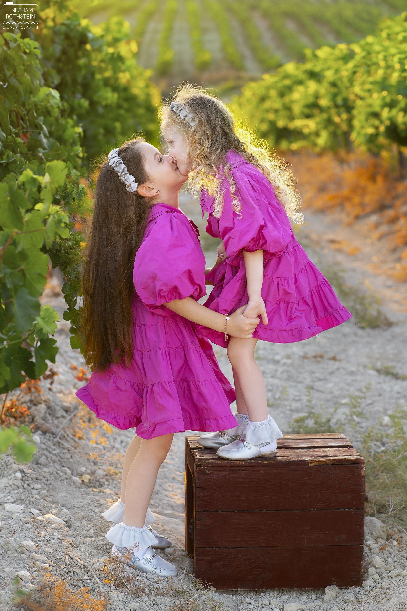 נחמי רוטשטיין צילום 0527164343 (2).jpg