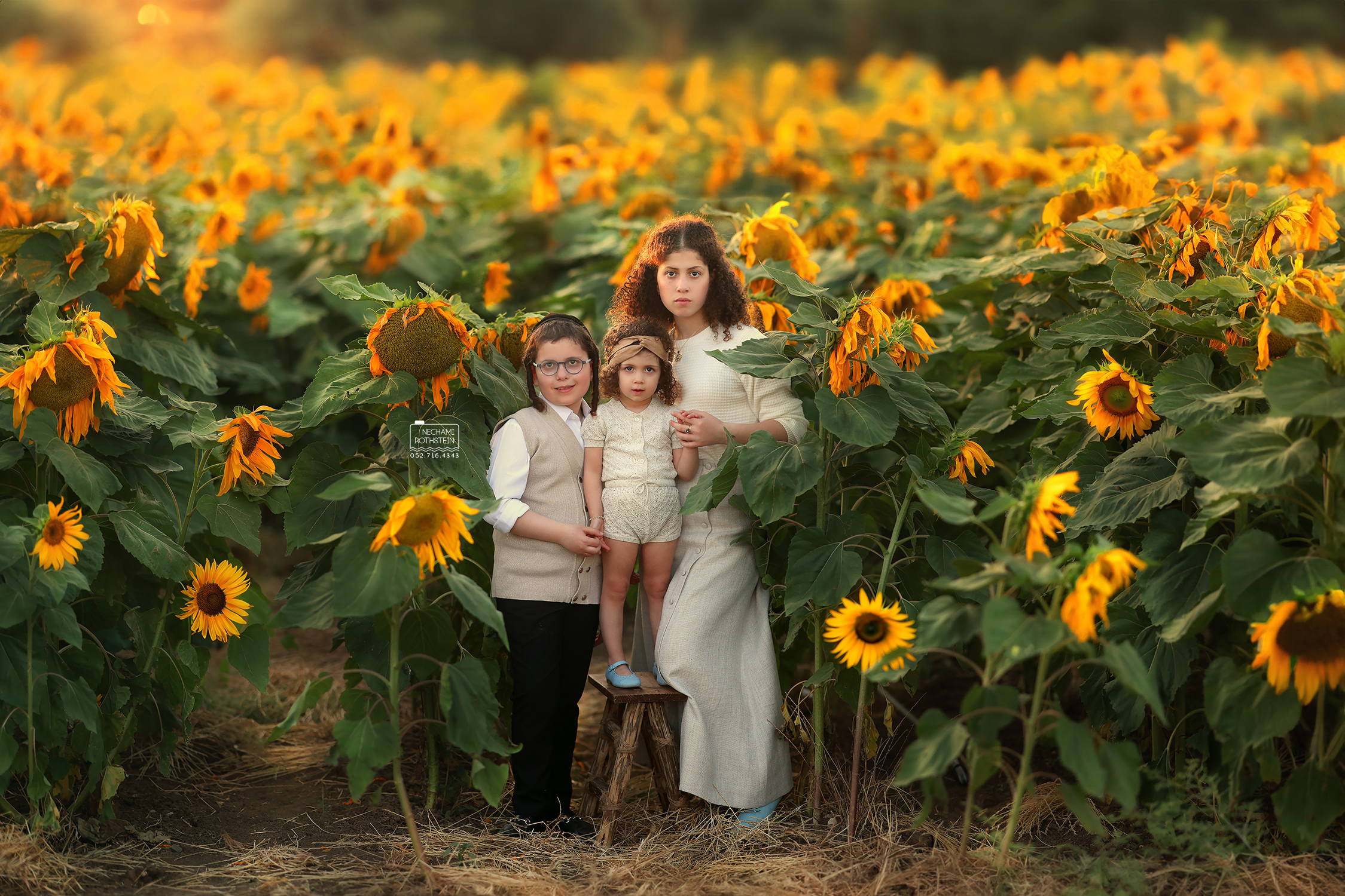 נחמי רוטשטיין צילום 0527164343 (2).jpg