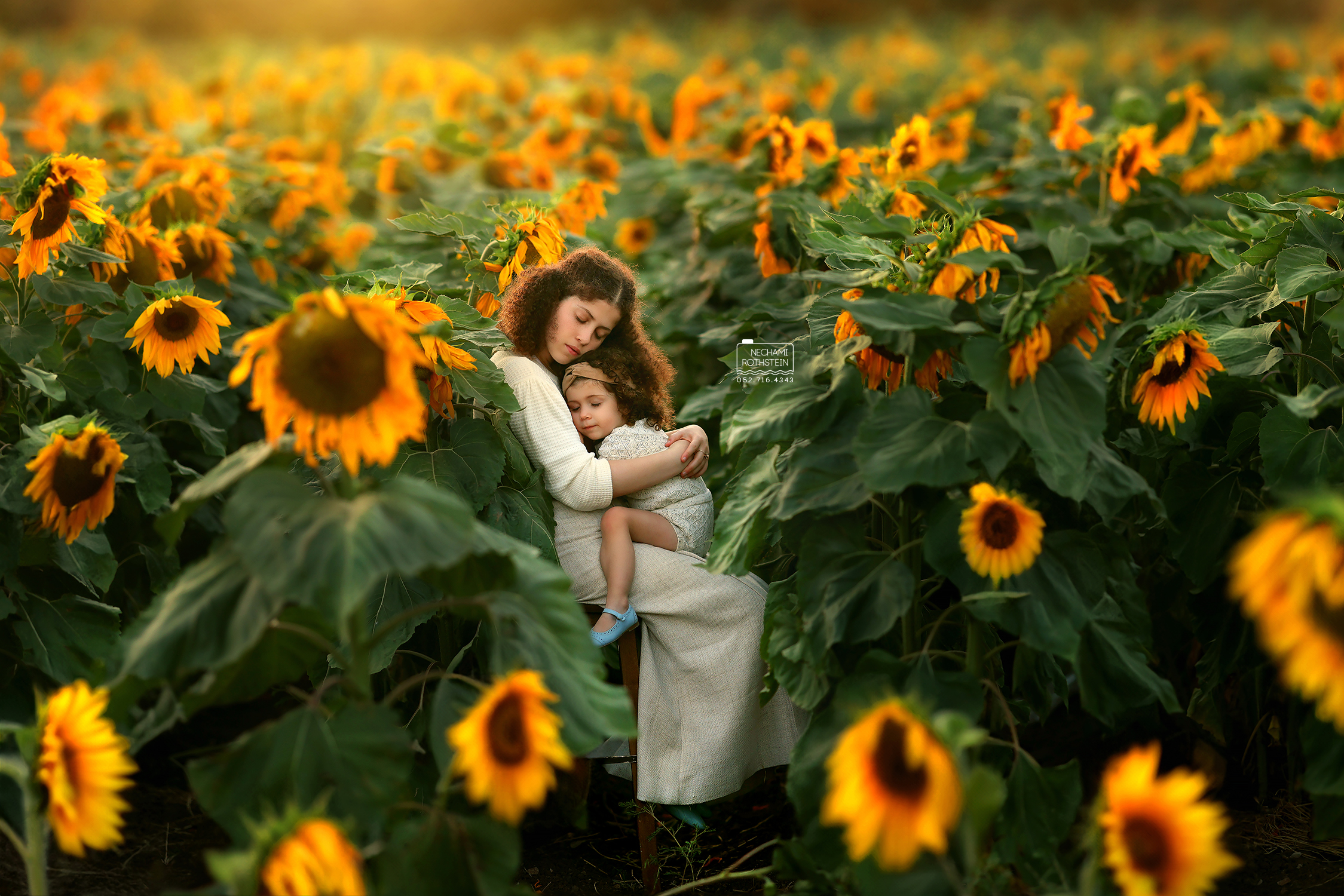 נחמי רוטשטיין צילום 0527164343 (4).jpg