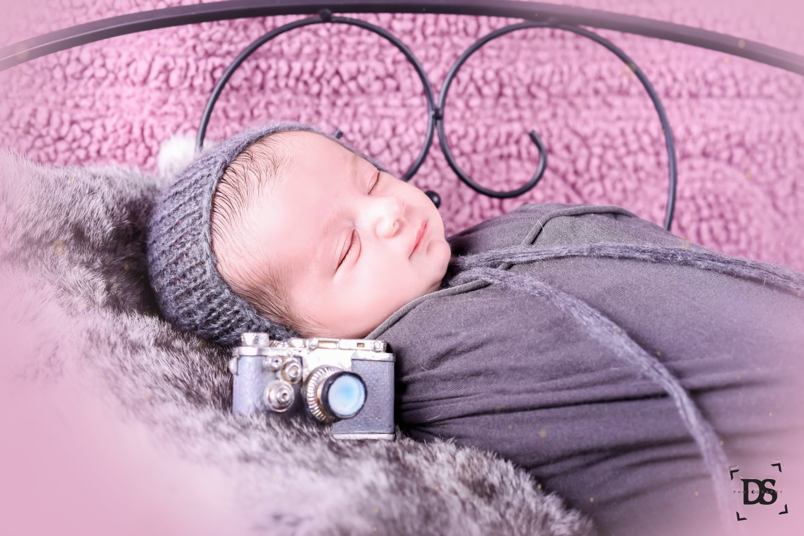 ניו בורן דומשלק דבורה.png