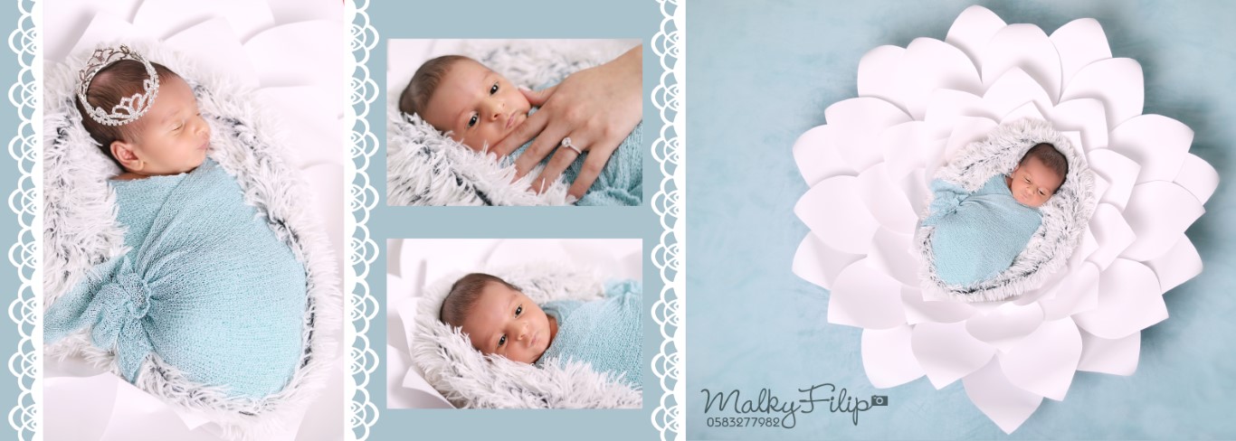 ניו בורן מלכי פיליפ 0583277982