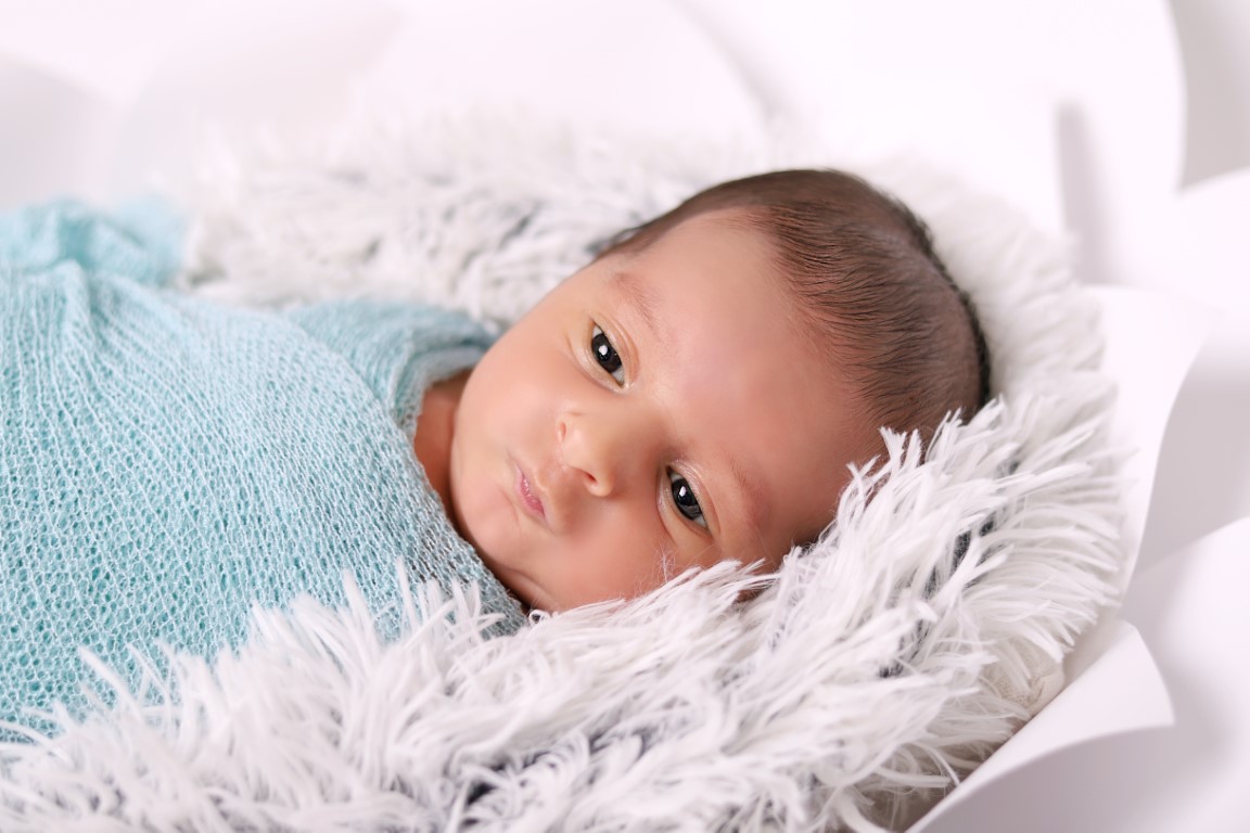 ניו בורן מלכי פיליפ 0583277982