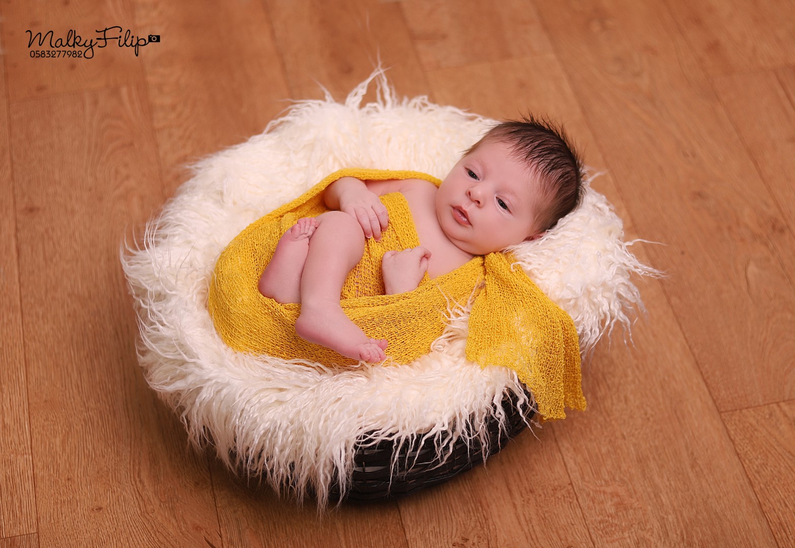 ניו בורן מלכי פיליפ 0583277982