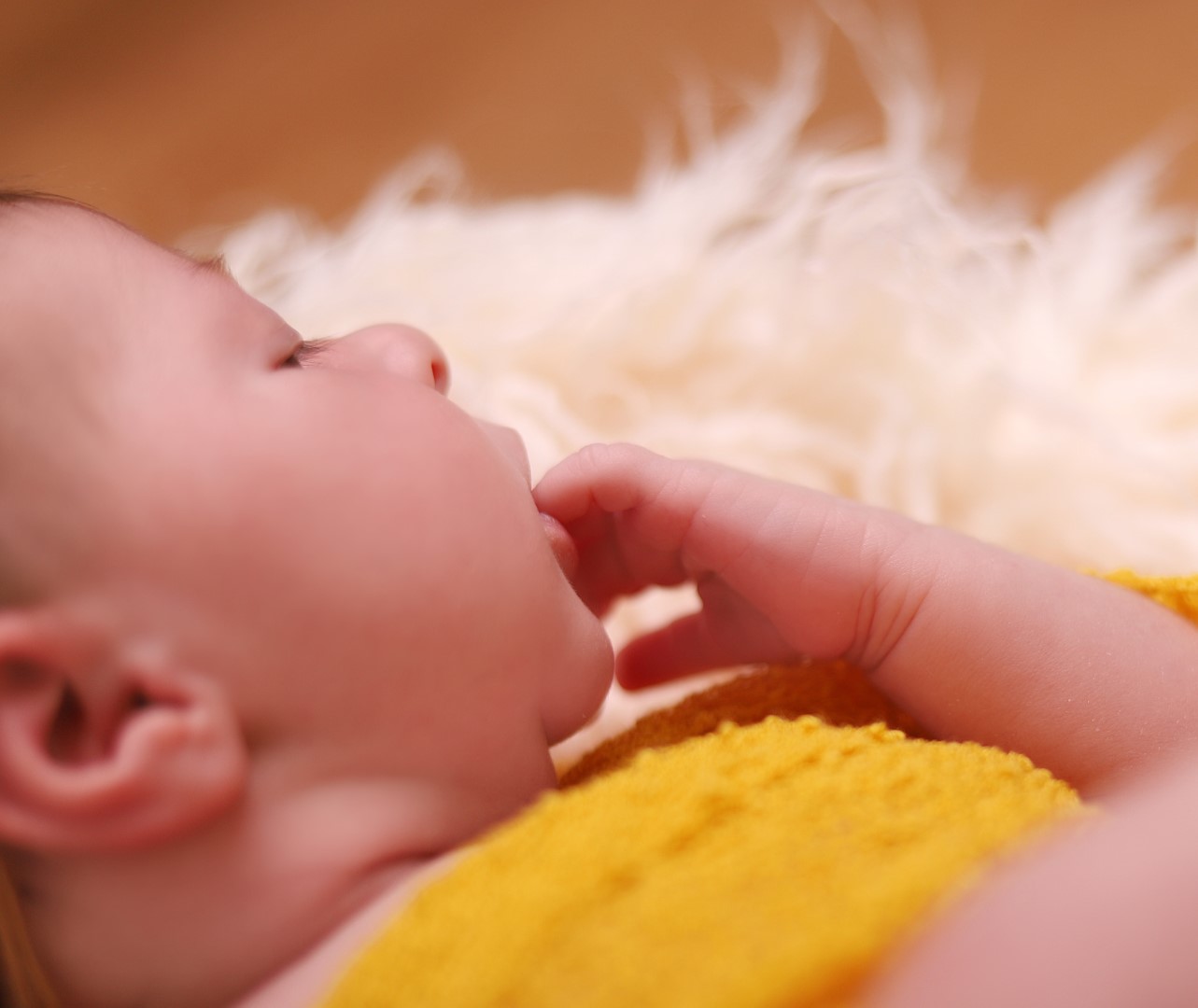 ניו בורן מלכי פיליפ 0583277982