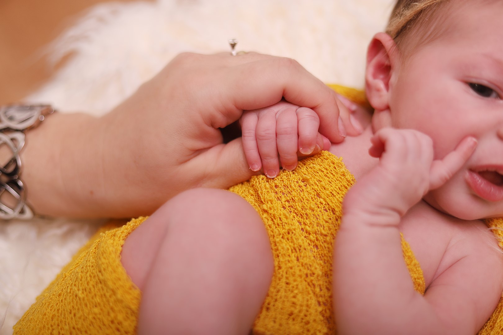 ניו בורן מלכי פיליפ 0583277982