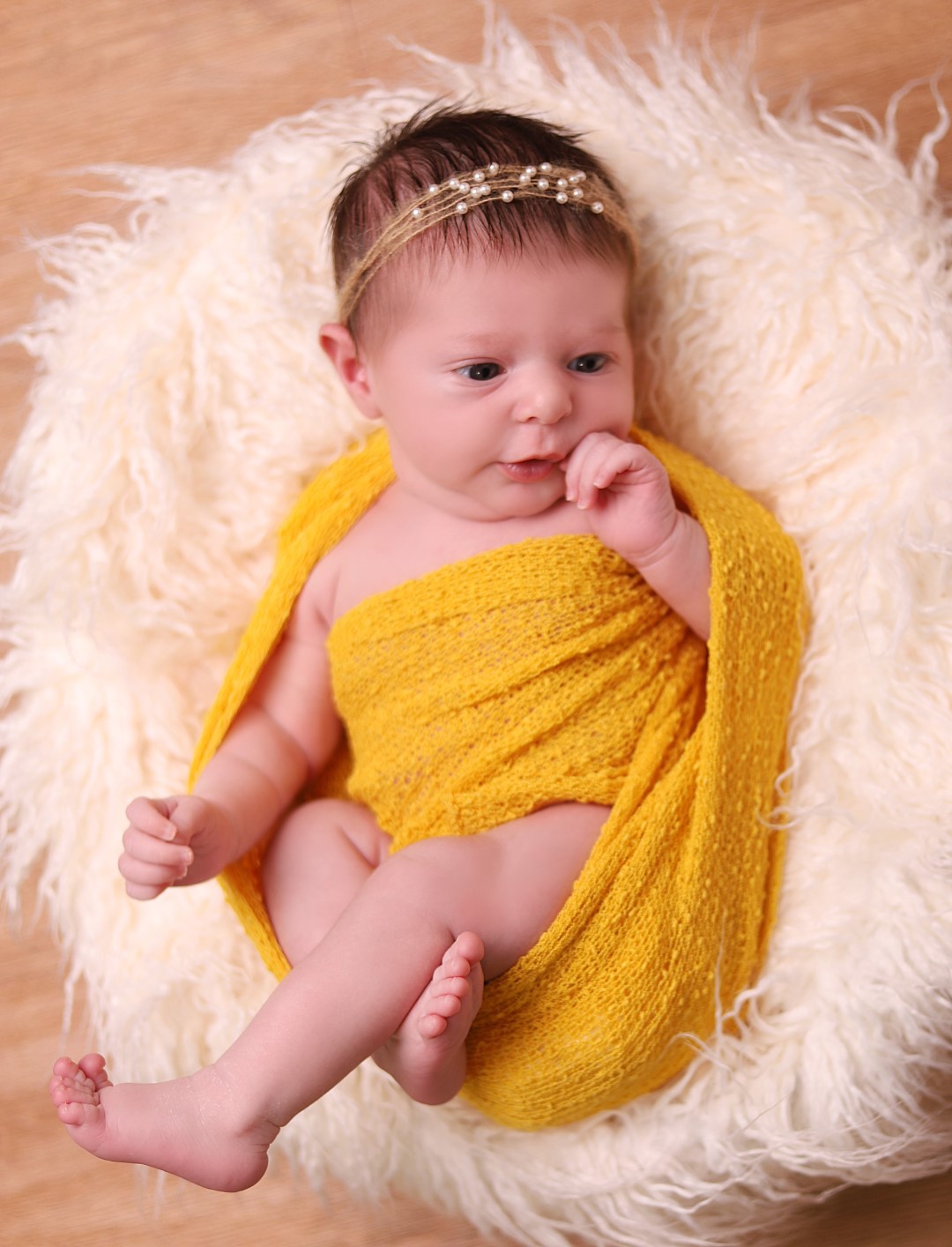 ניו בורן מלכי פיליפ 0583277982