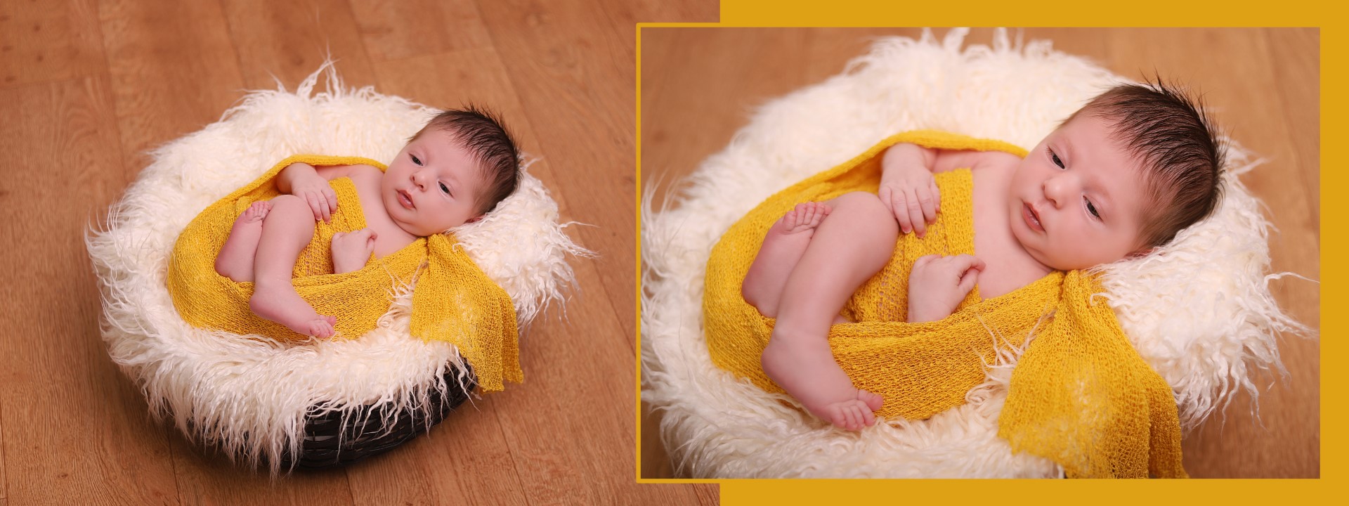 ניו בורן מלכי פיליפ 0583277982