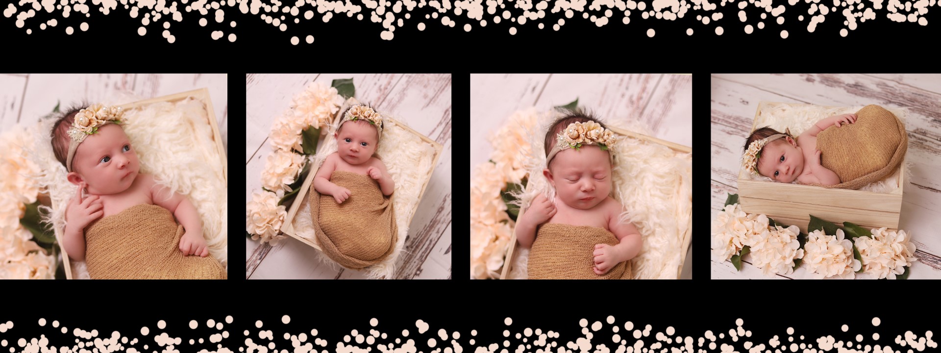 ניו בורן מלכי פיליפ 0583277982