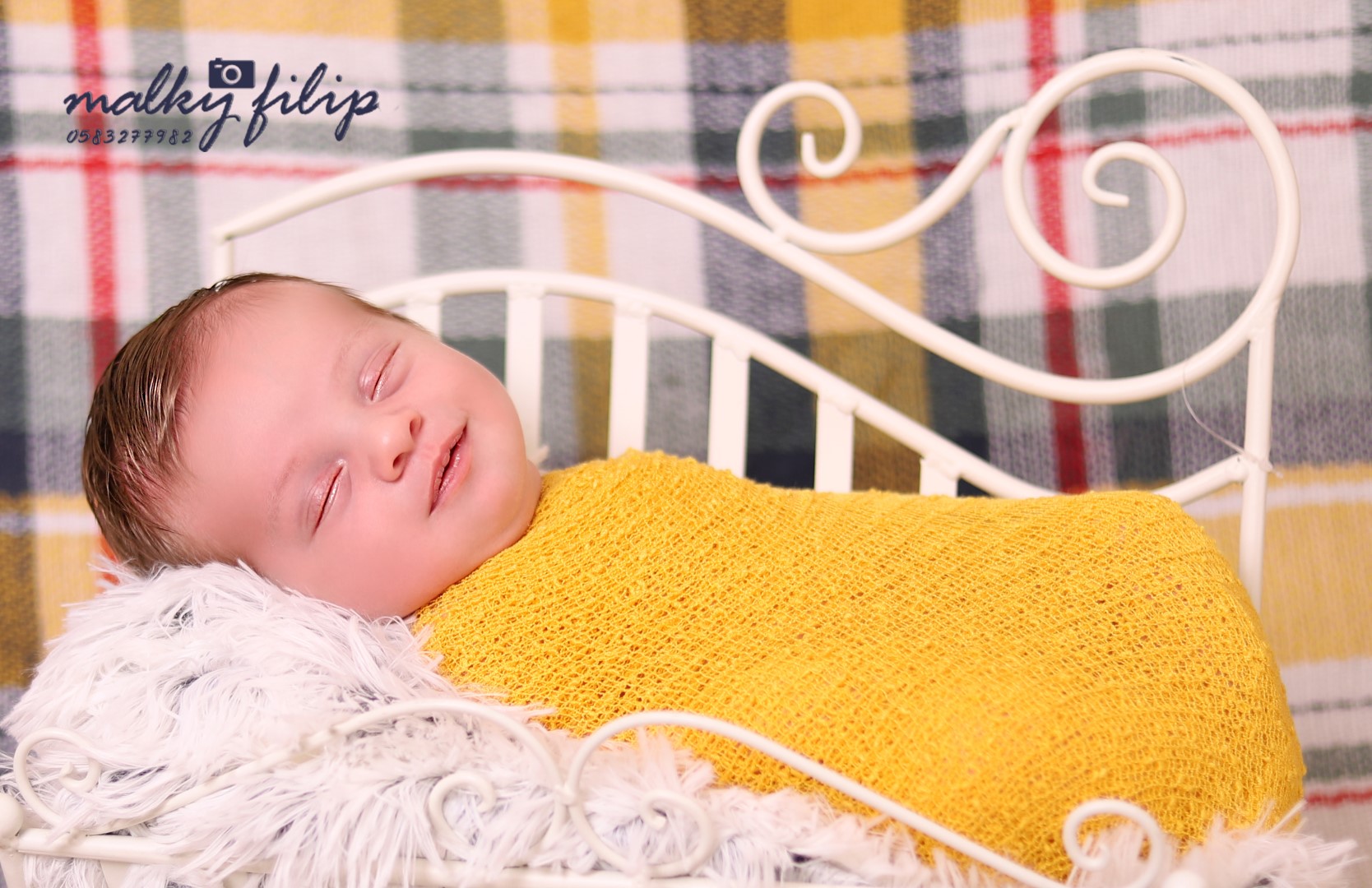 ניו בורן מלכי פיליפ