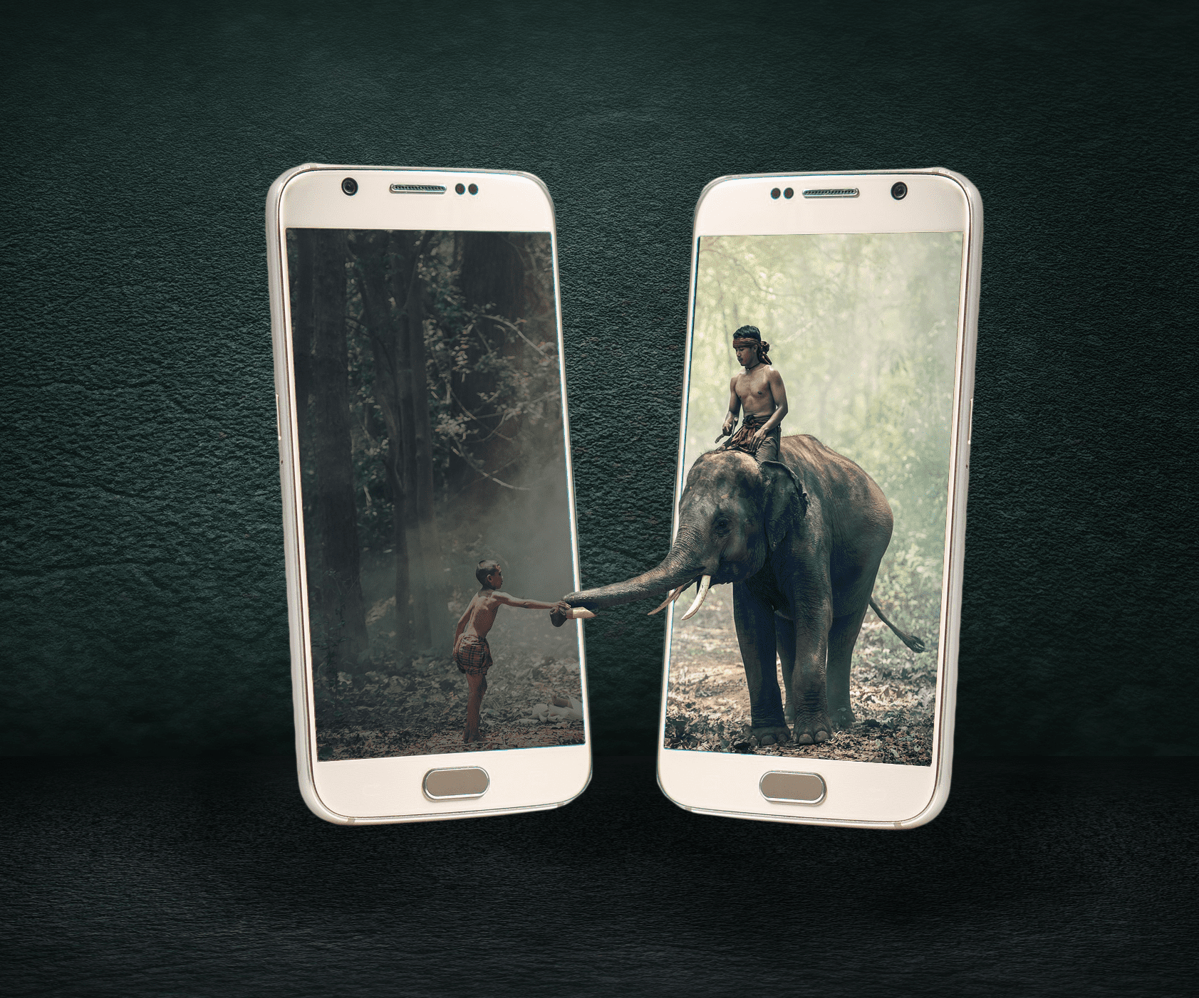 נייד פלכ .png