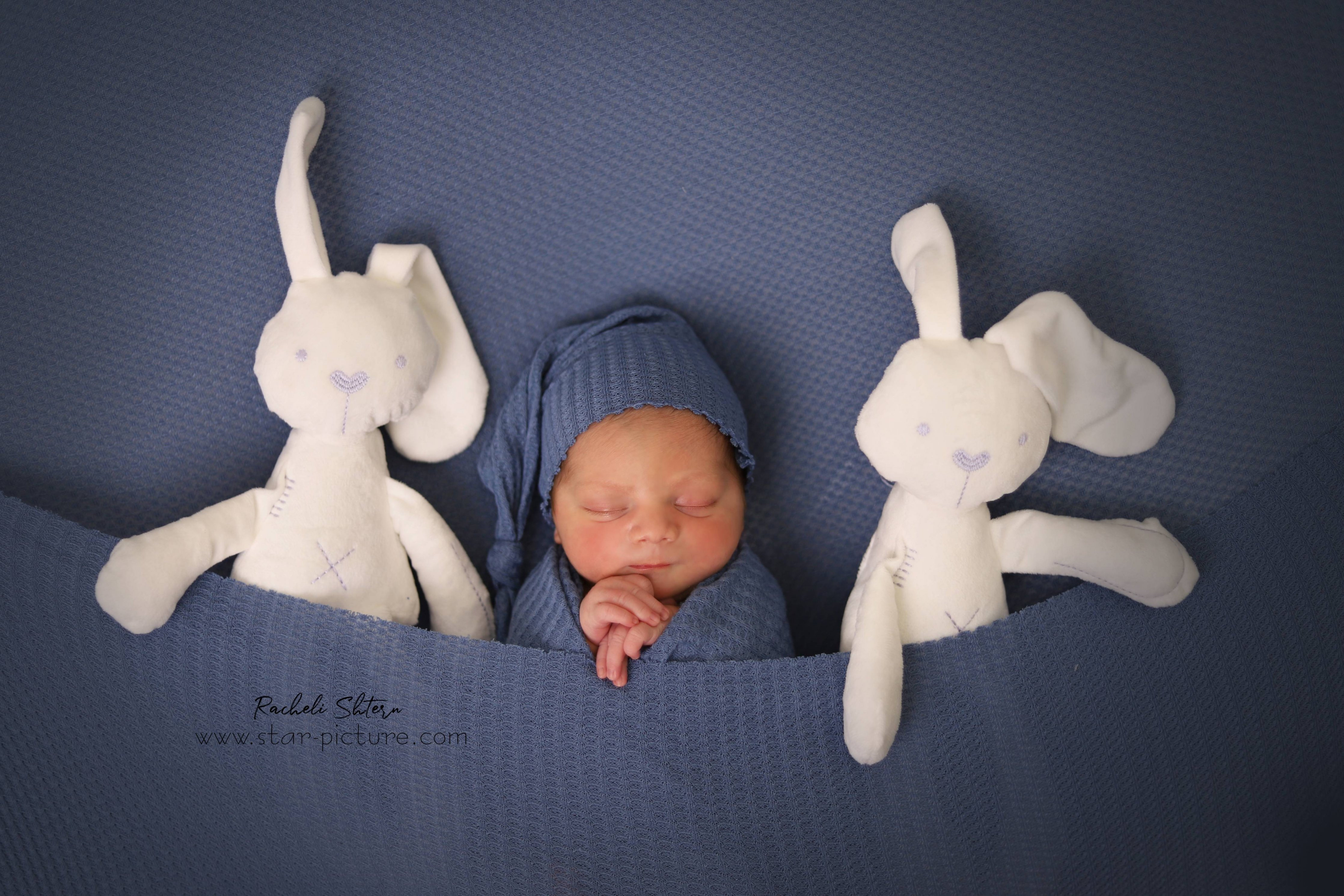 נסיך בניו בורן (7).jpg