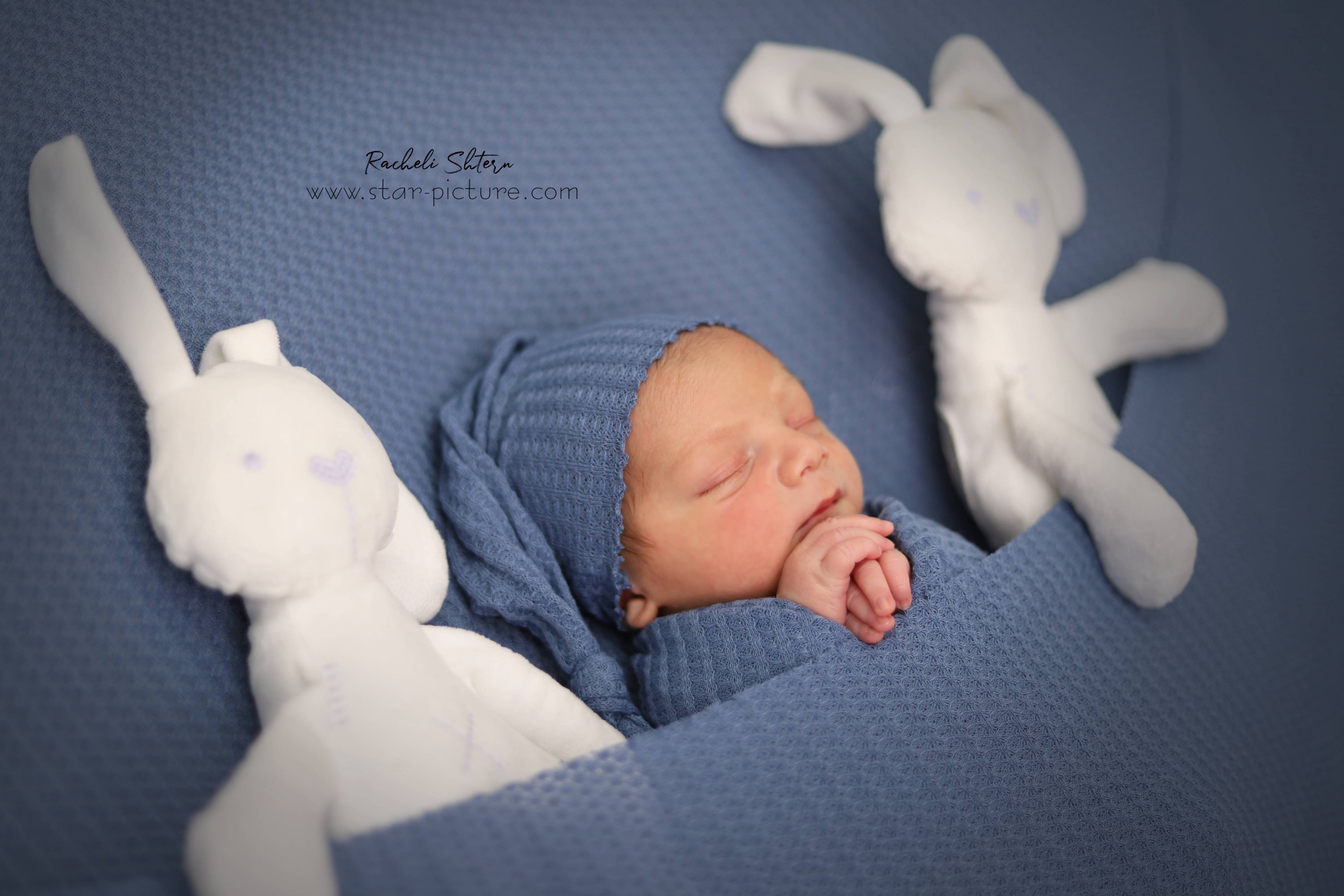 נסיך בניו בורן (8).jpg