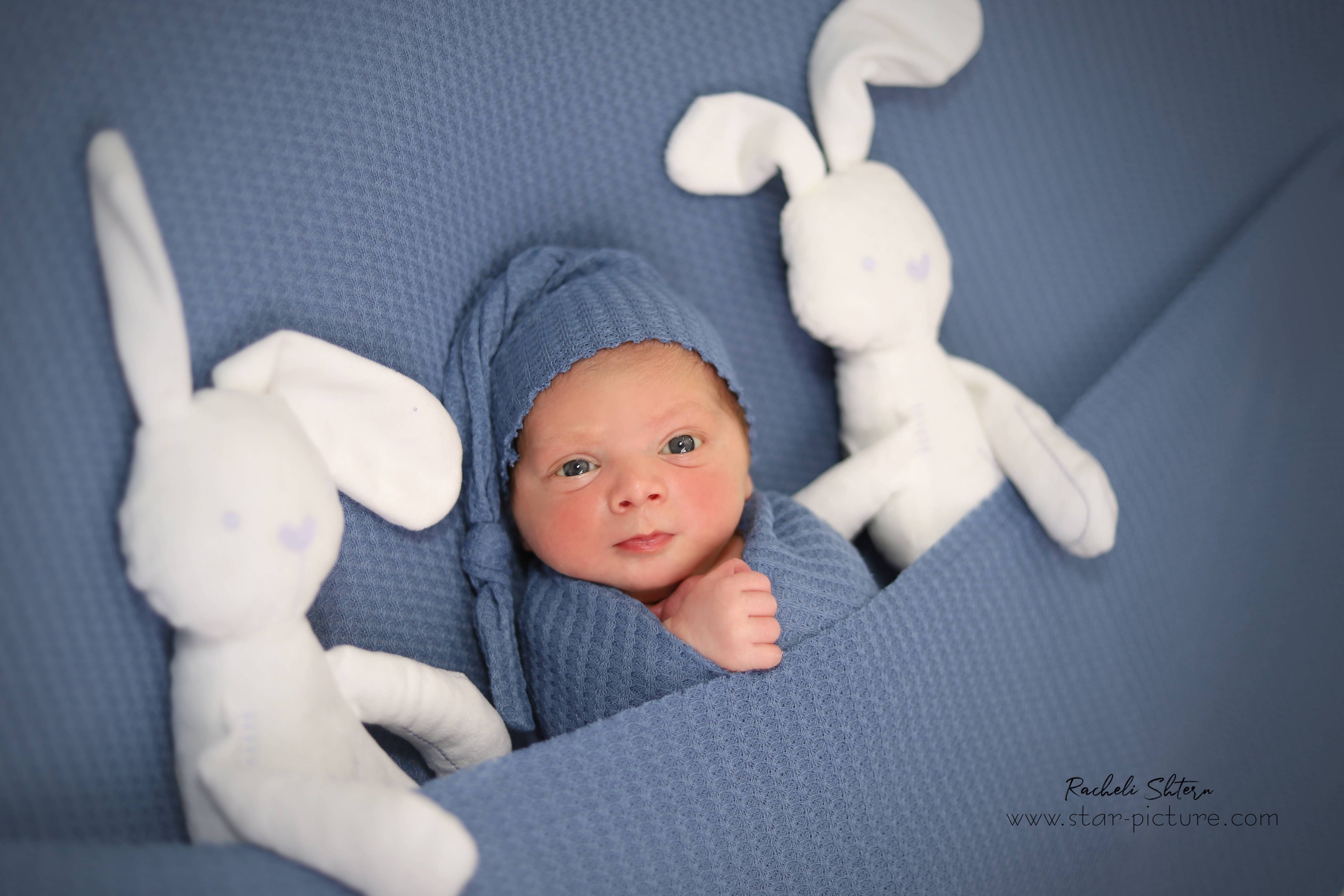 נסיך בניו בורן (9).jpg