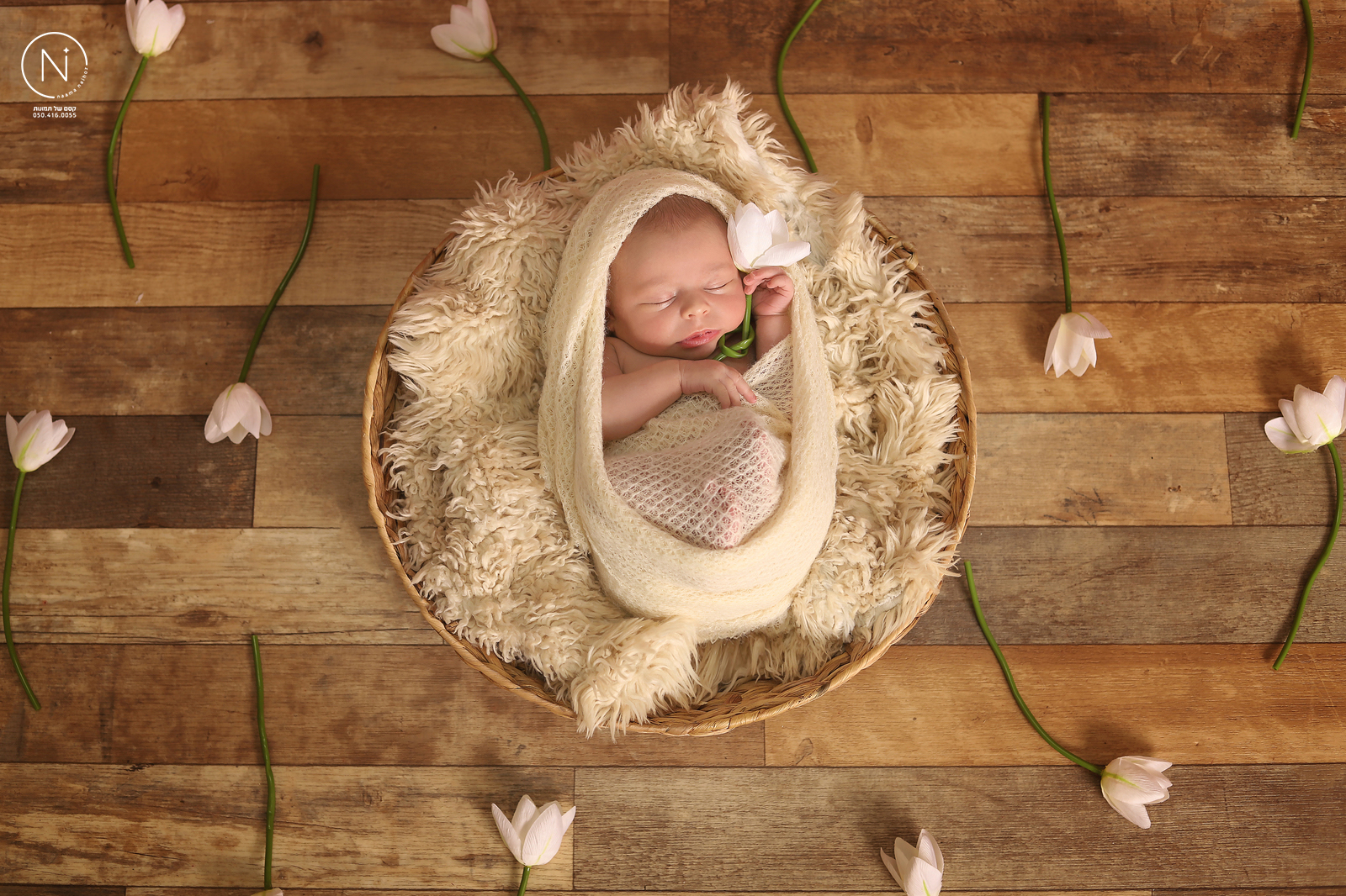 נעמה נייהוז 0504160055