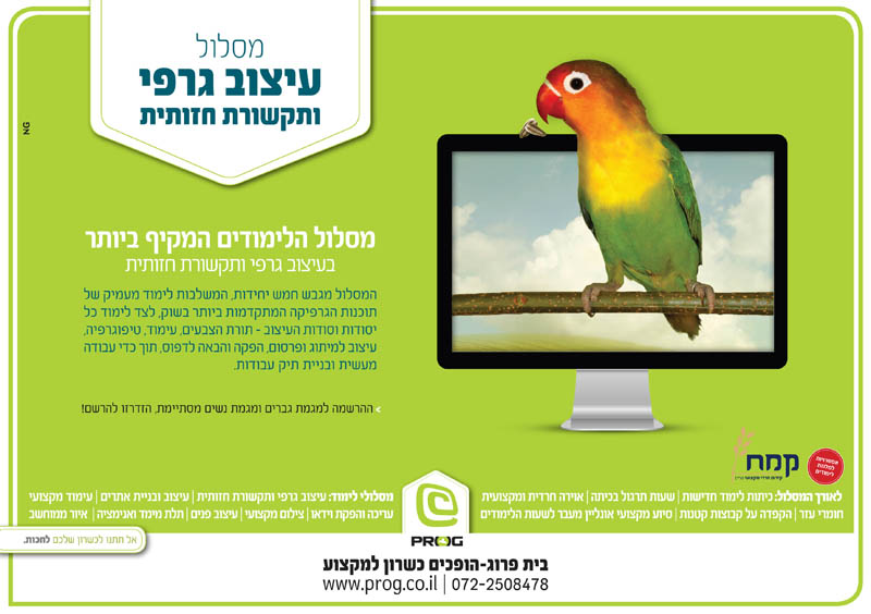 נפתלי גליק NG פרוג